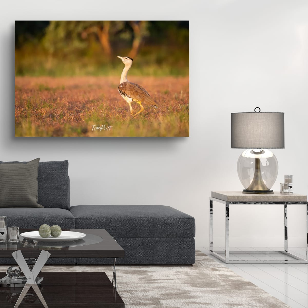 The Stride of the Australian Bustard