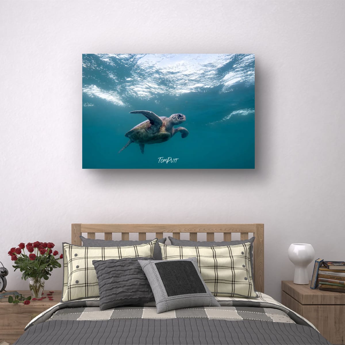 Turtle Determination