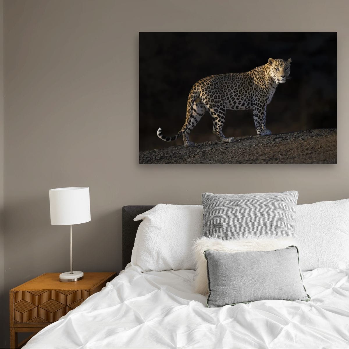 Leopard's Gaze, India