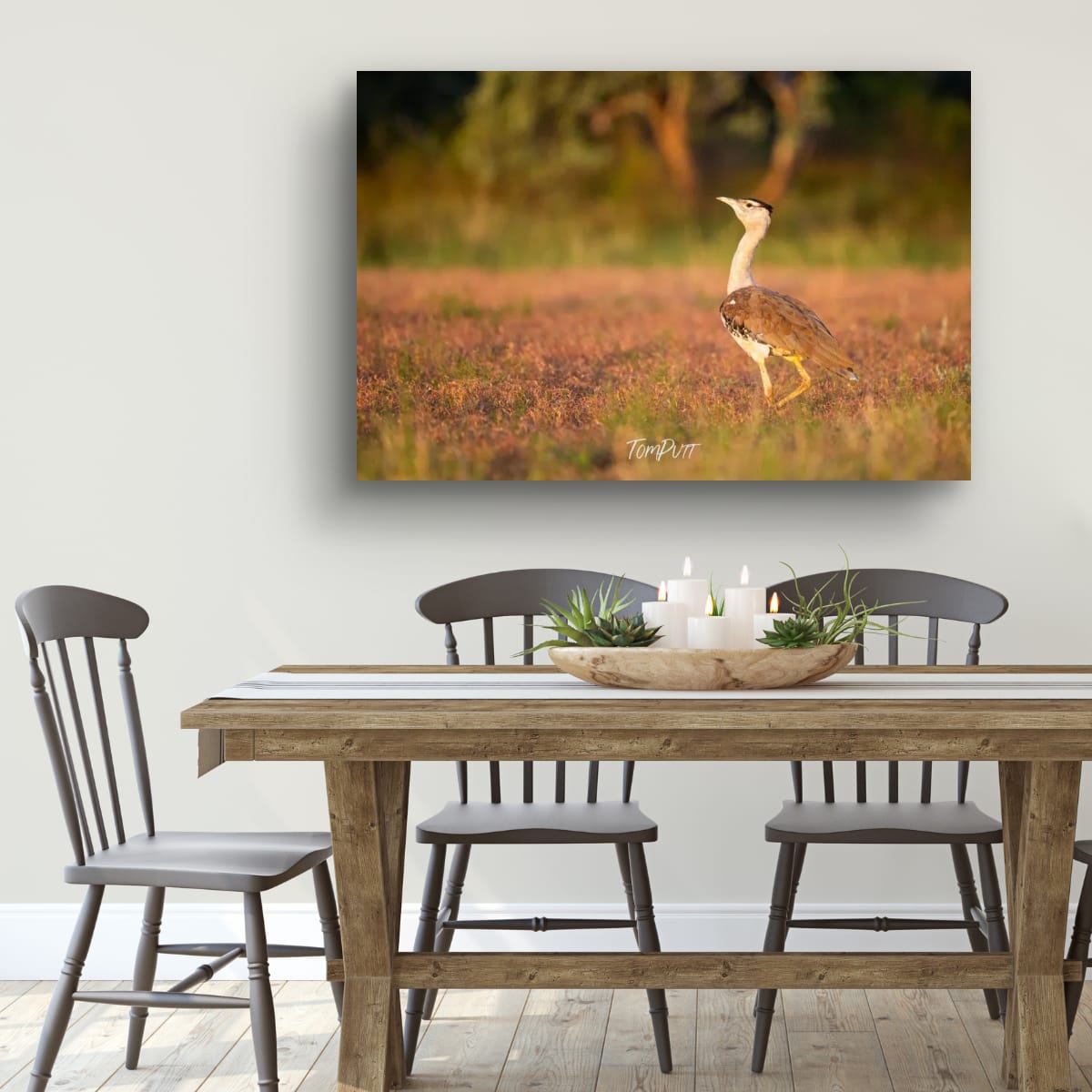 The Stride of the Australian Bustard