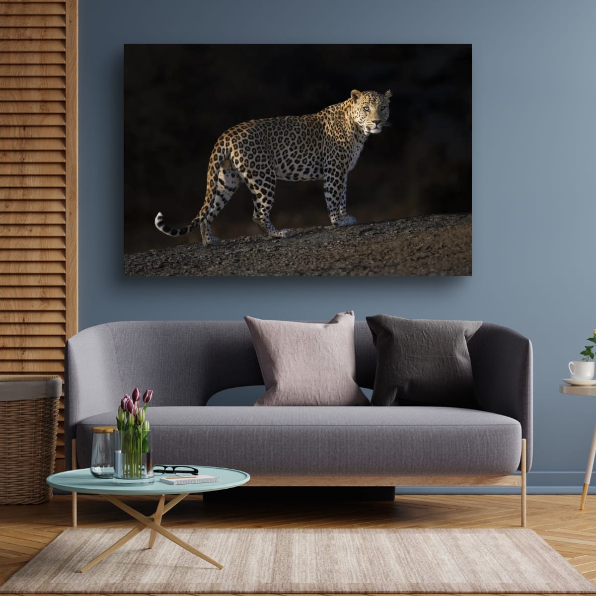 Leopard's Gaze, India