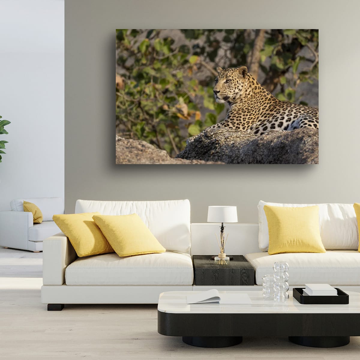 Watchful Leopard, India