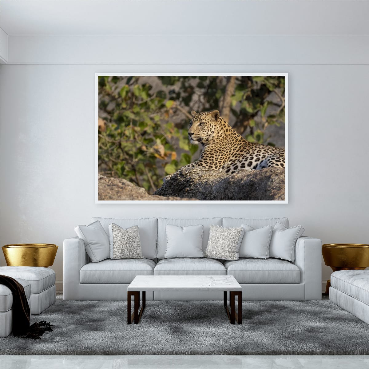 Watchful Leopard, India