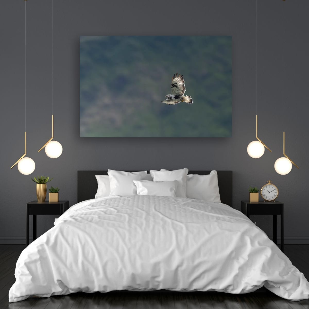 Quiet Approach. Rough-Legged Hawk
