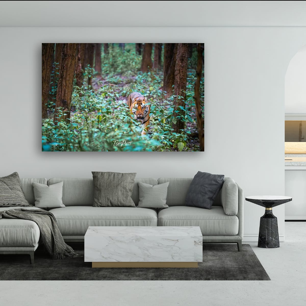 Tiger Encounter, India