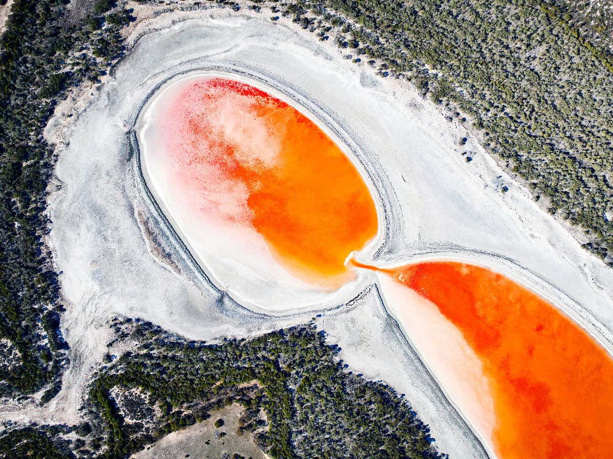 Orange Crush, Western Australia