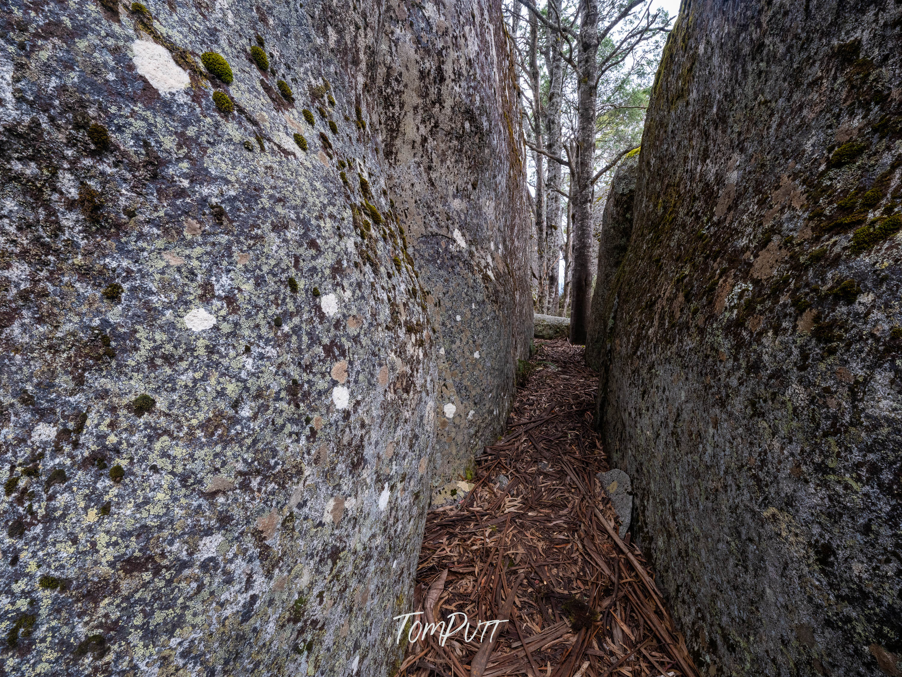 Narrow Pass, Mt Baw Baw