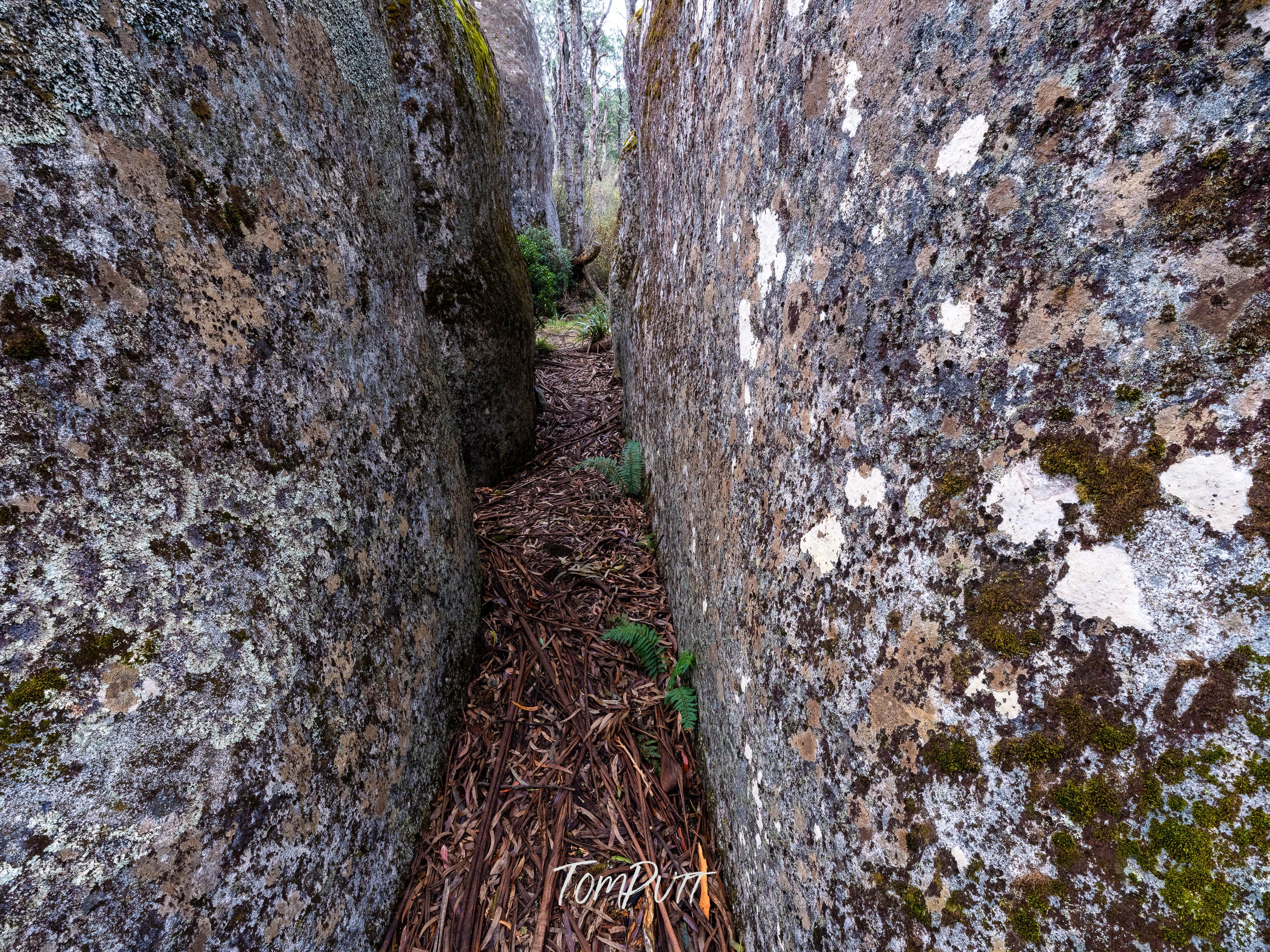 Mushroom Rocks, Mt Baw Baw