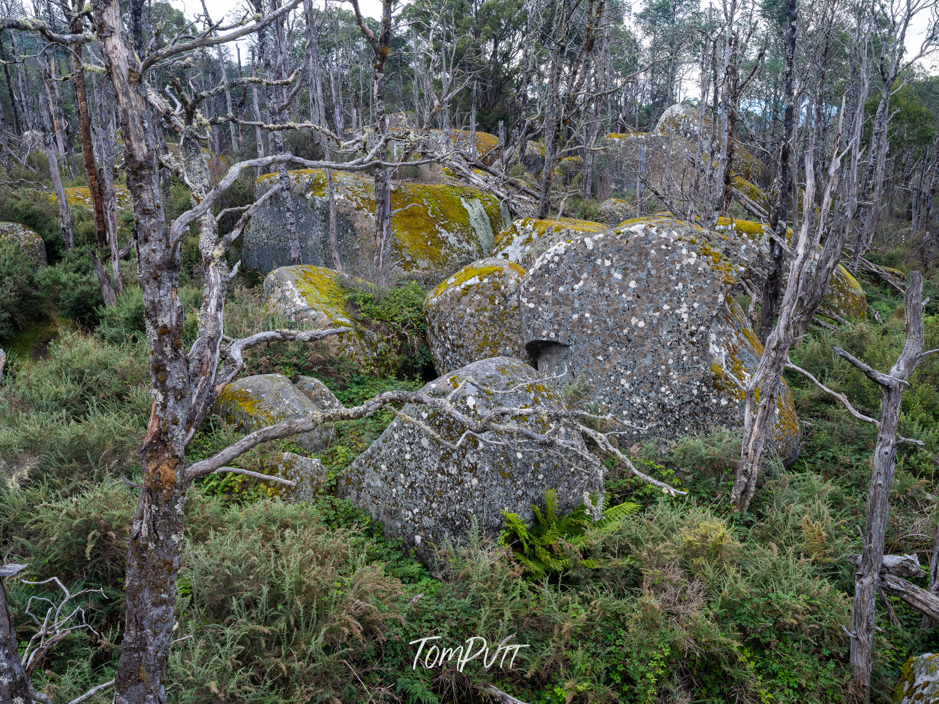 Ancient Boulders, Mt Baw Baw