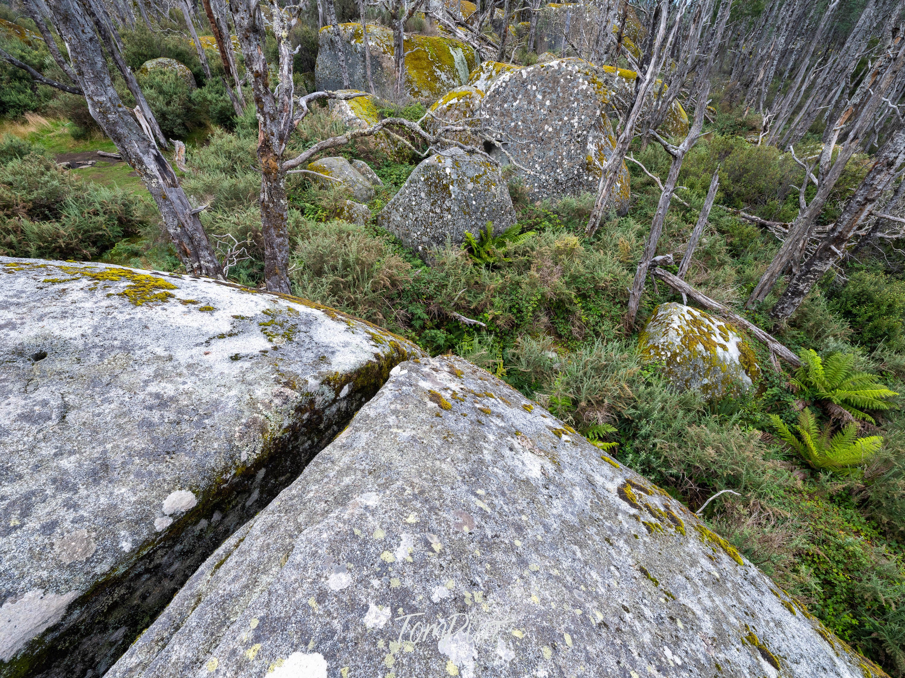 Cleft in Two, Mt Baw Baw