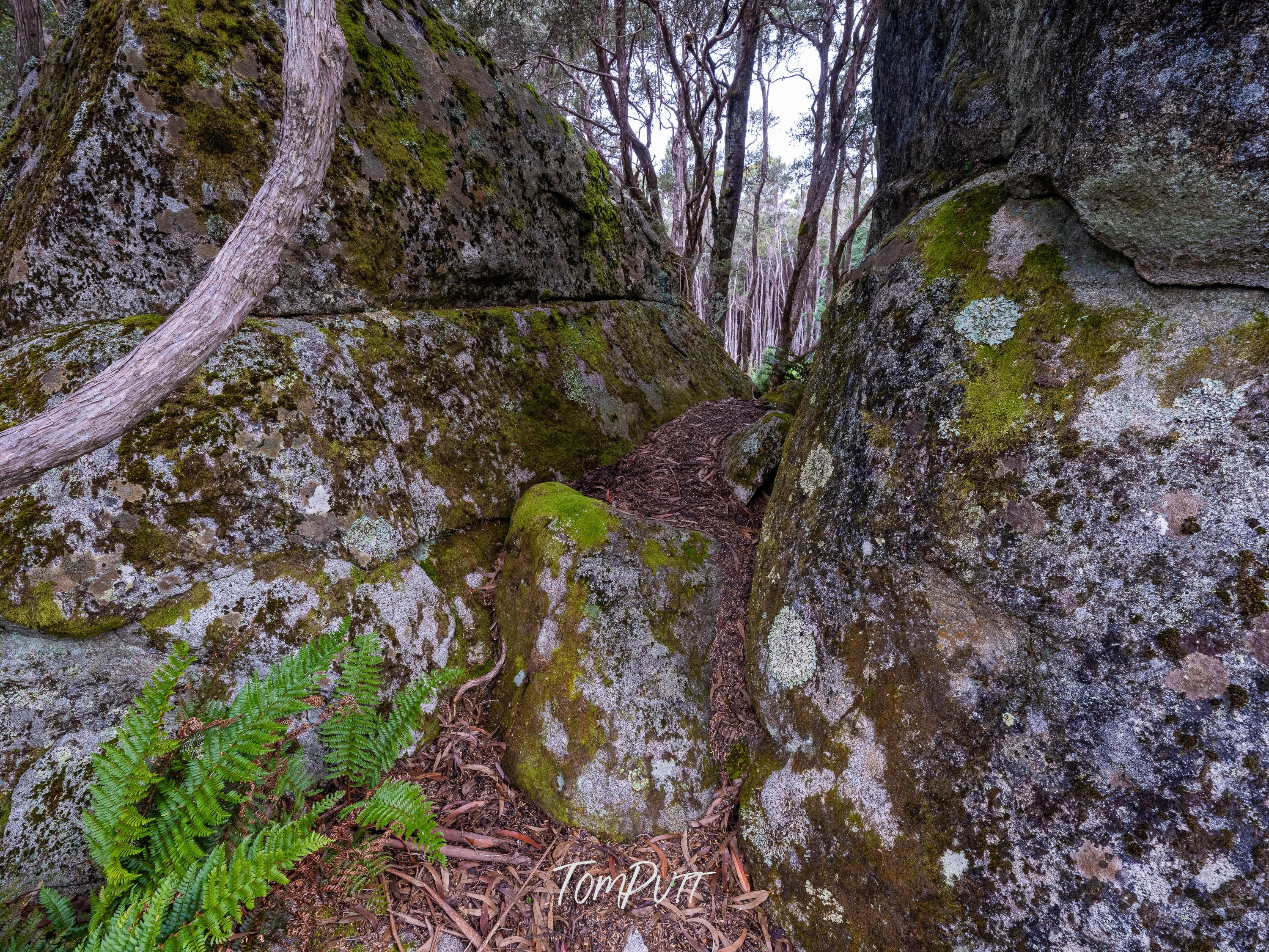 Between the Boulders, Mt Baw Baw