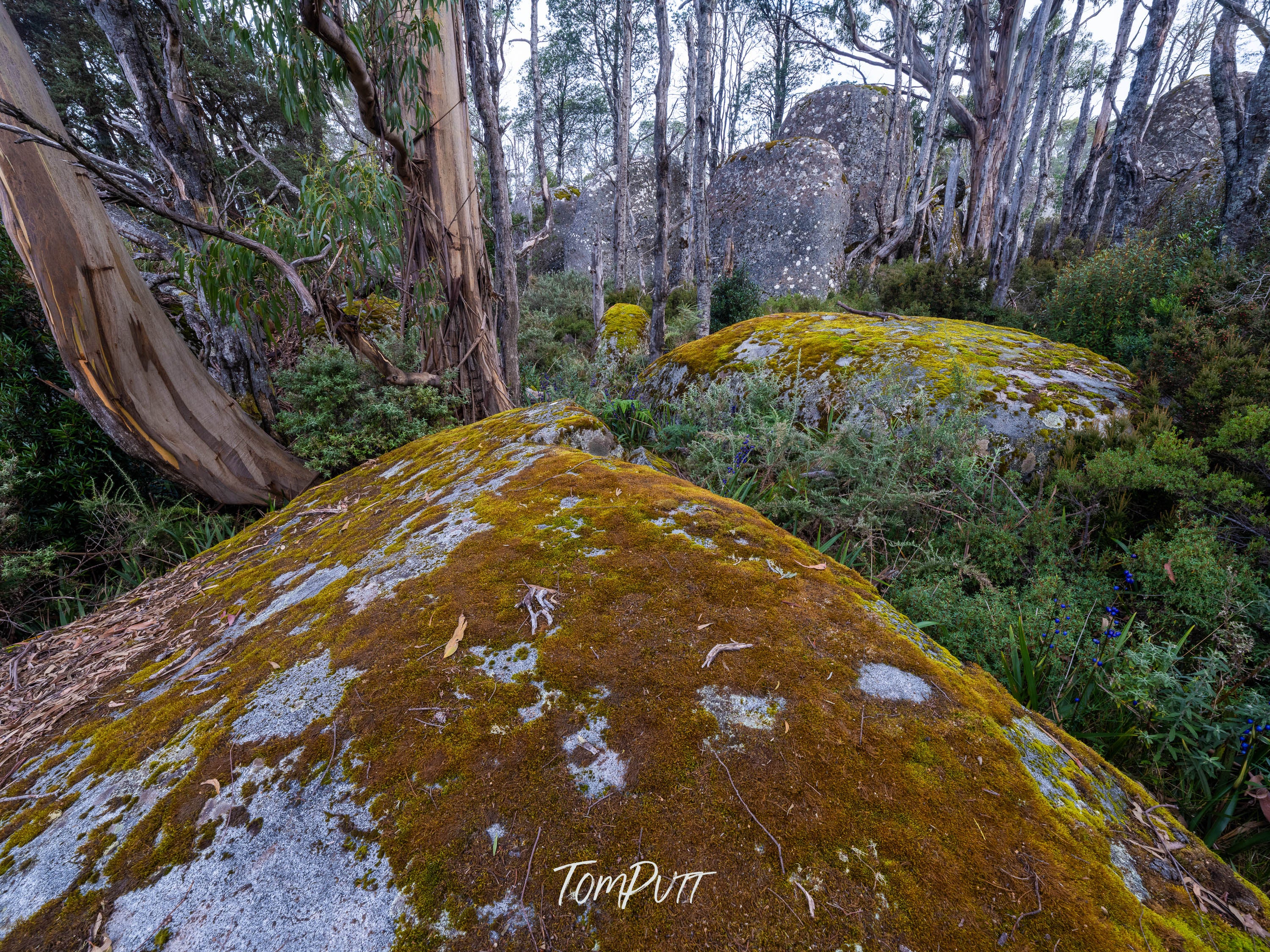 Place of Stone and Wood, Mt Baw Baw