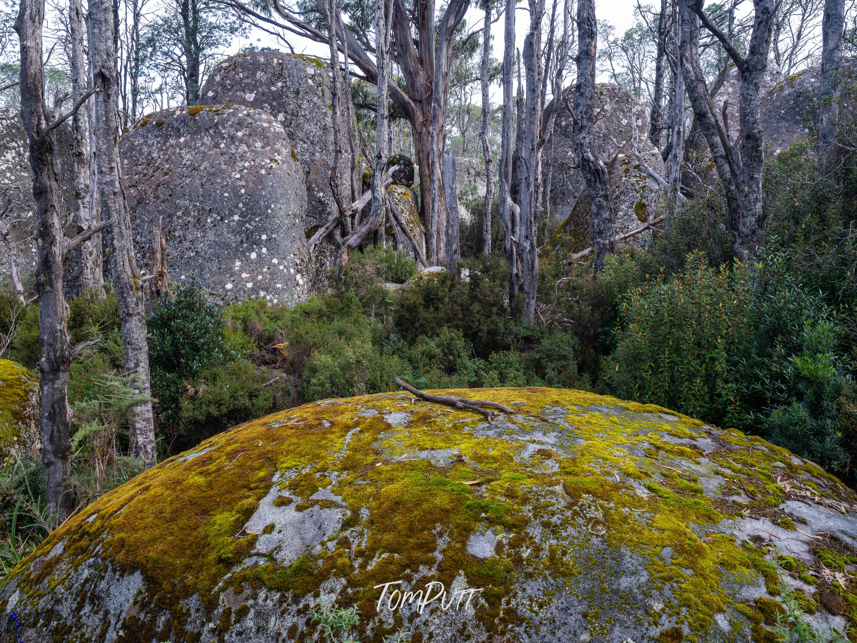 The Lookout, Mt Baw Baw