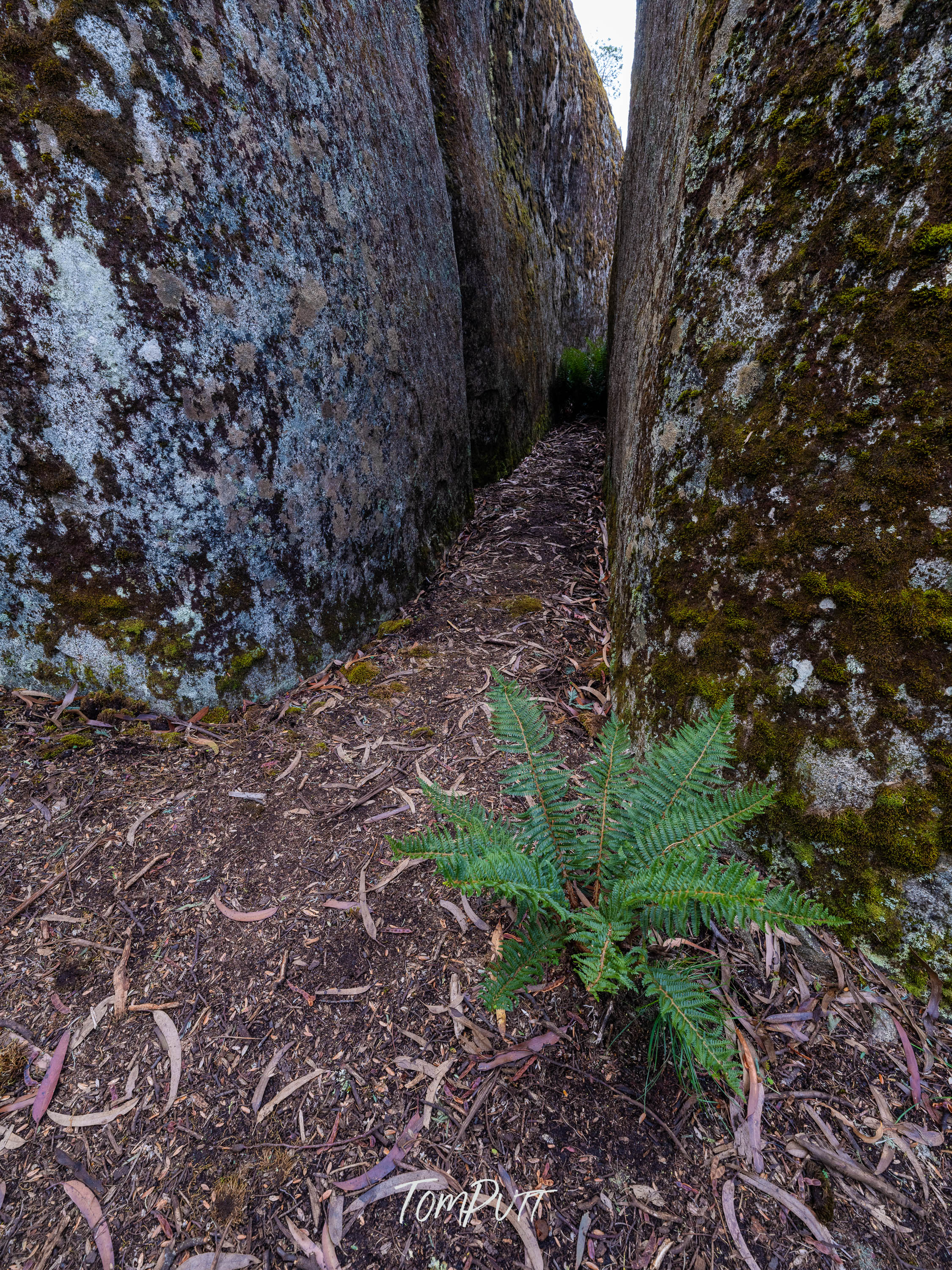 The Way is Narrow, Mt Baw Baw