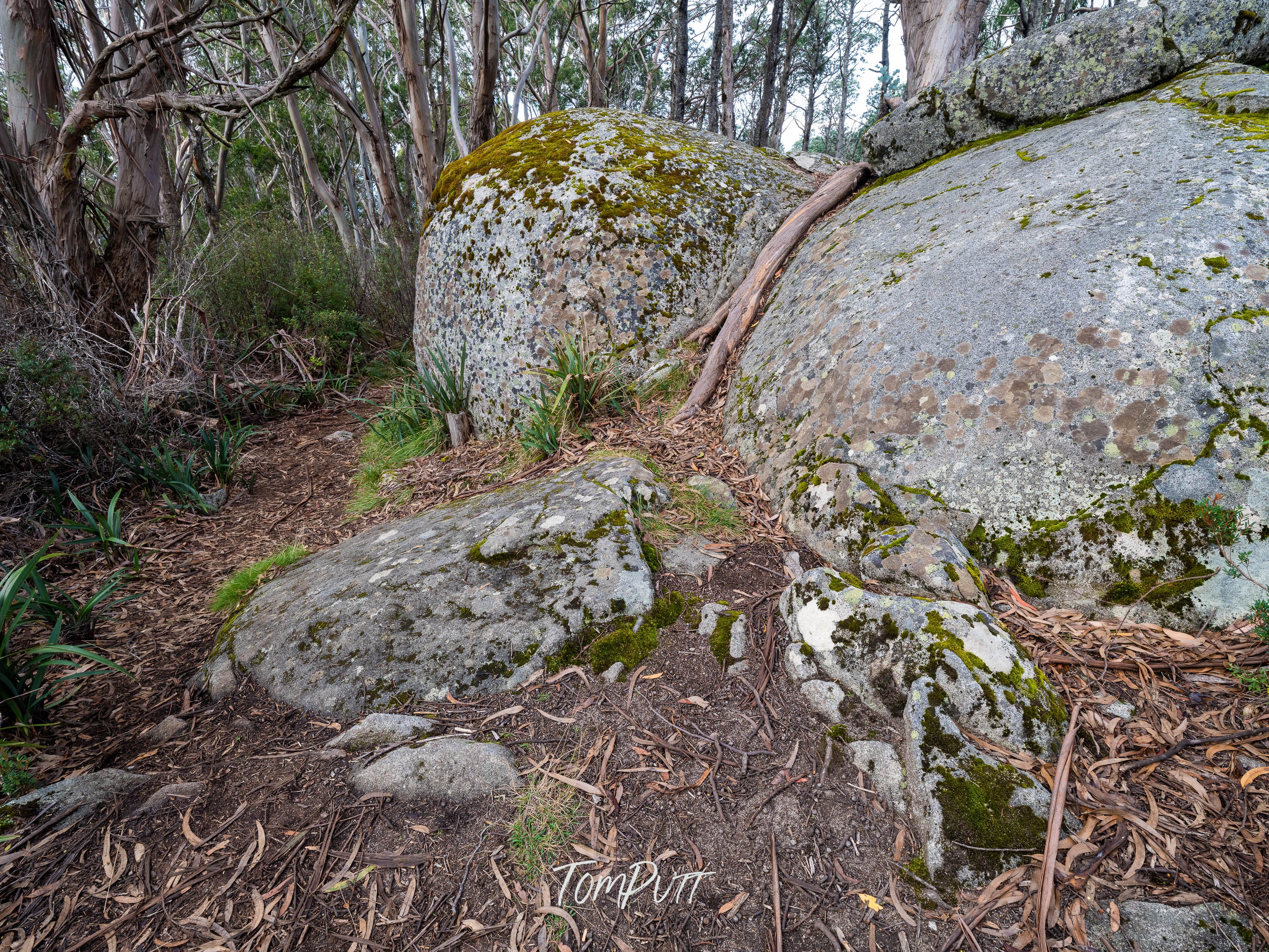 Boulder Way, Mount Baw Baw