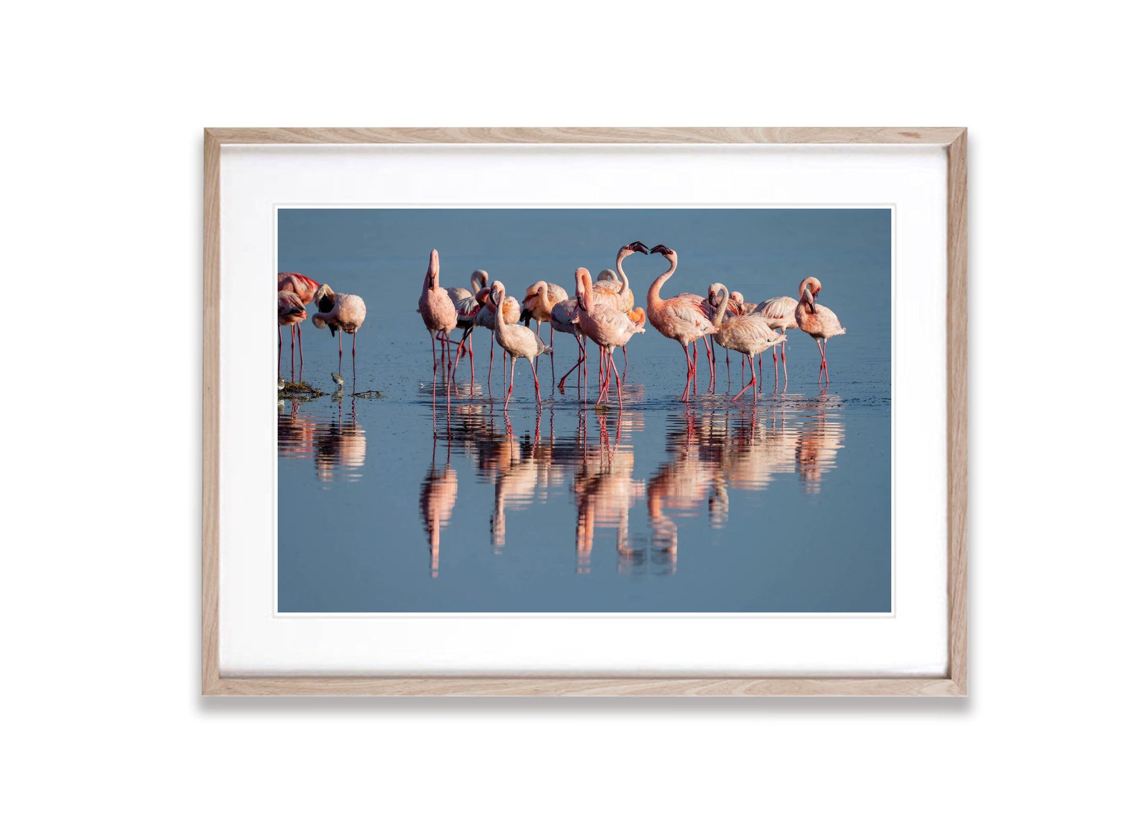 Flamingoes Talking, Ndutu Lake, Tanzania