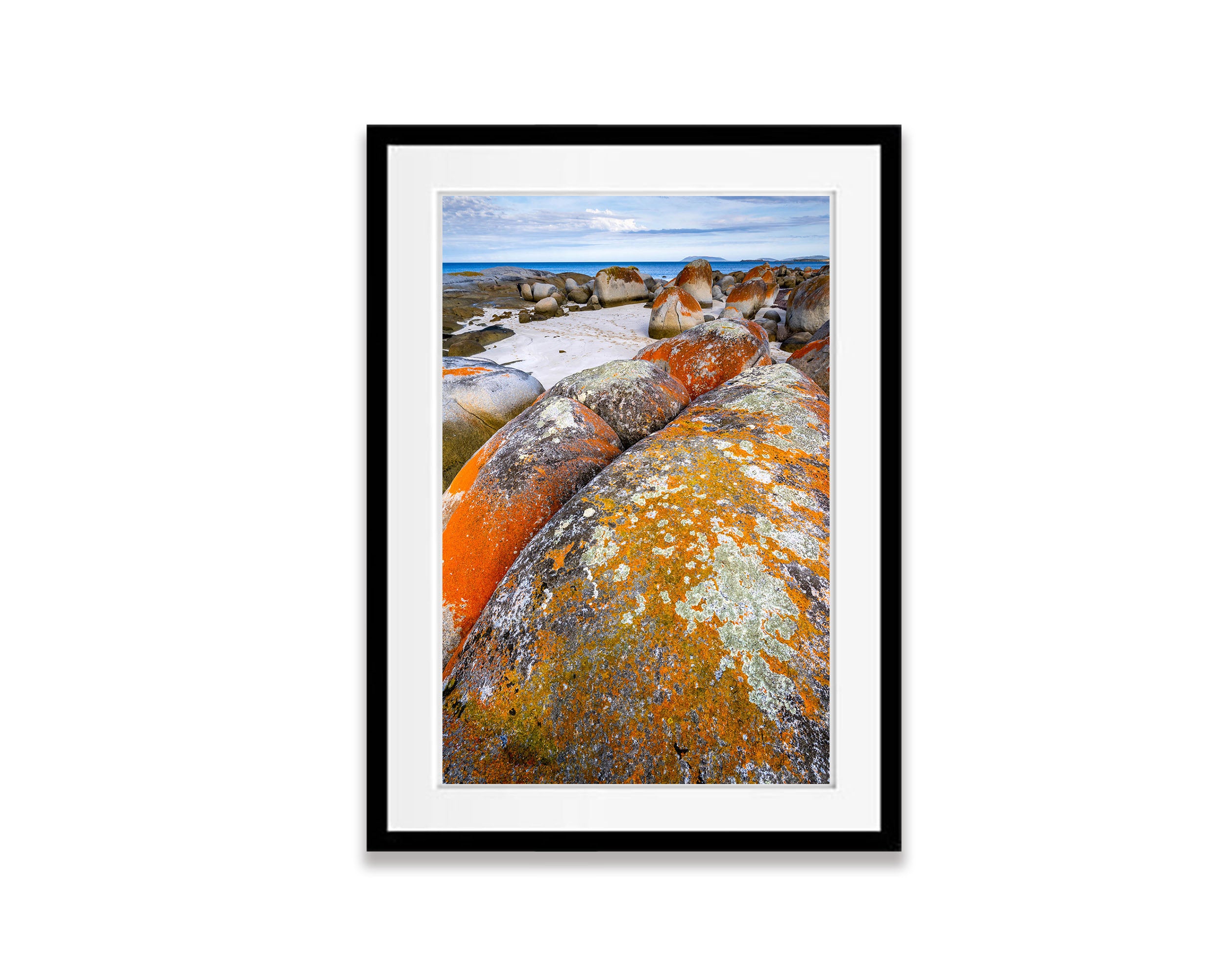 Rock Lichen, Flinders Island, Tasmania