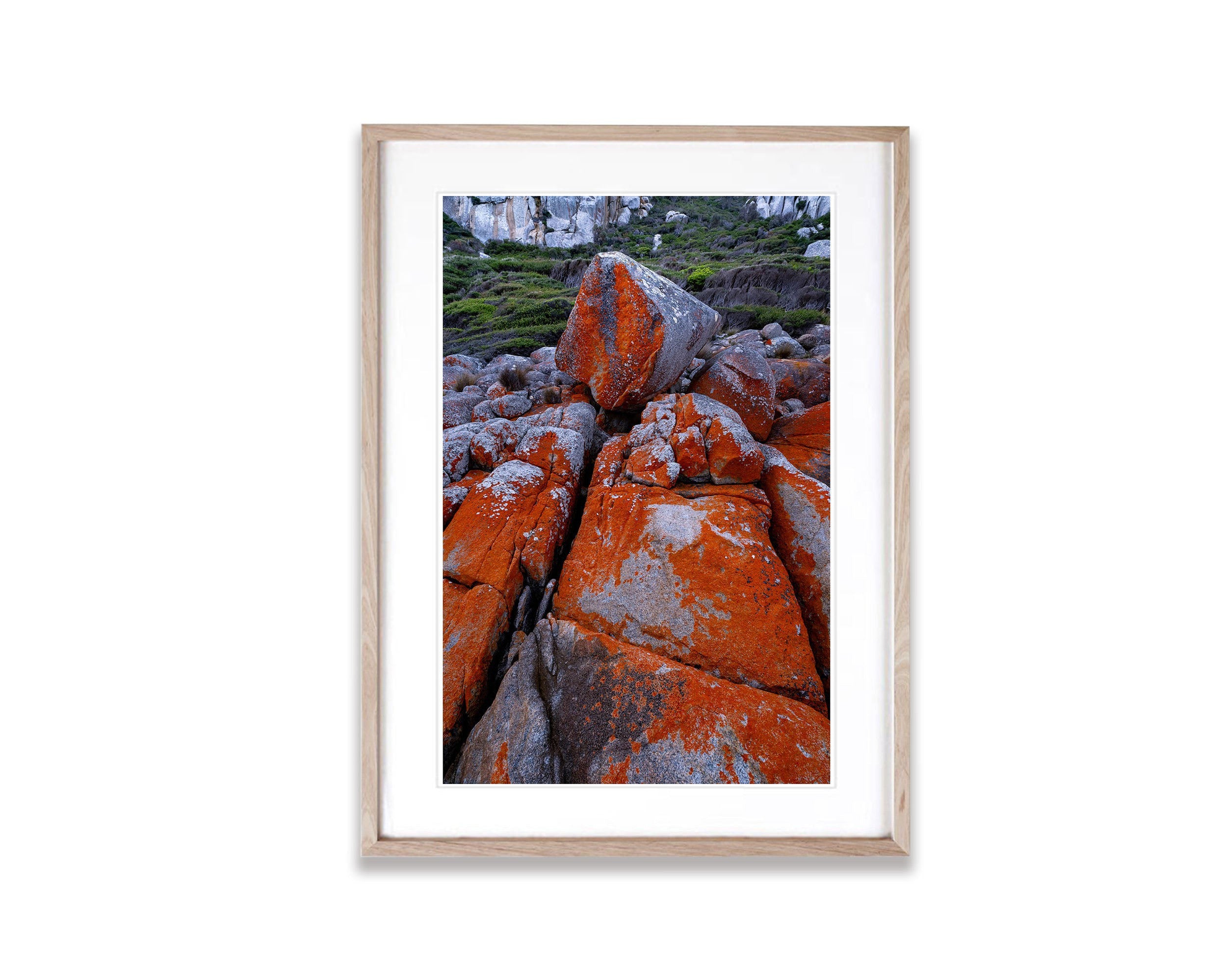 Red Lichen Rocks No.5, Flinders Island, Tasmania