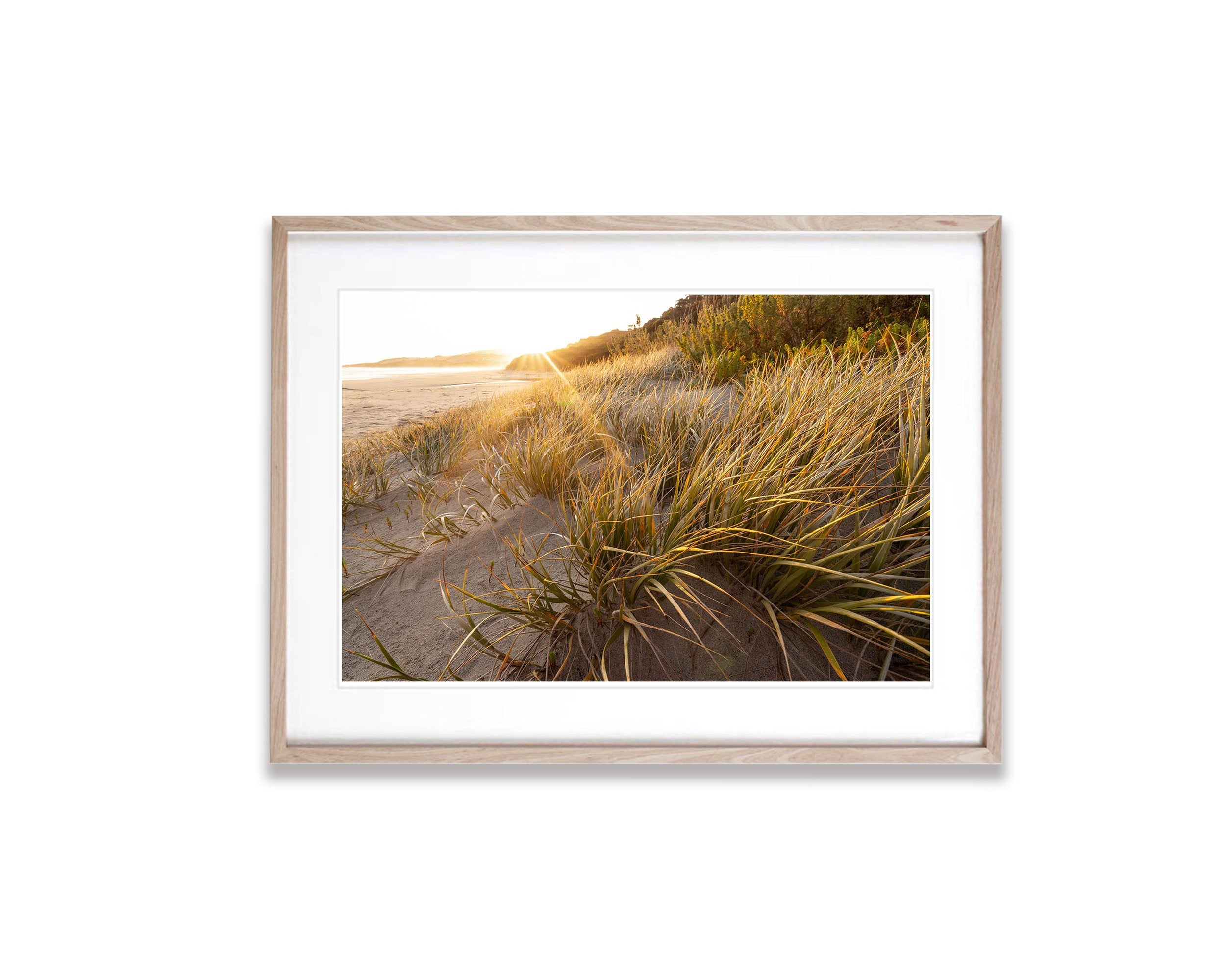 Coastal Vegetation, Flinders Island, Tasmania