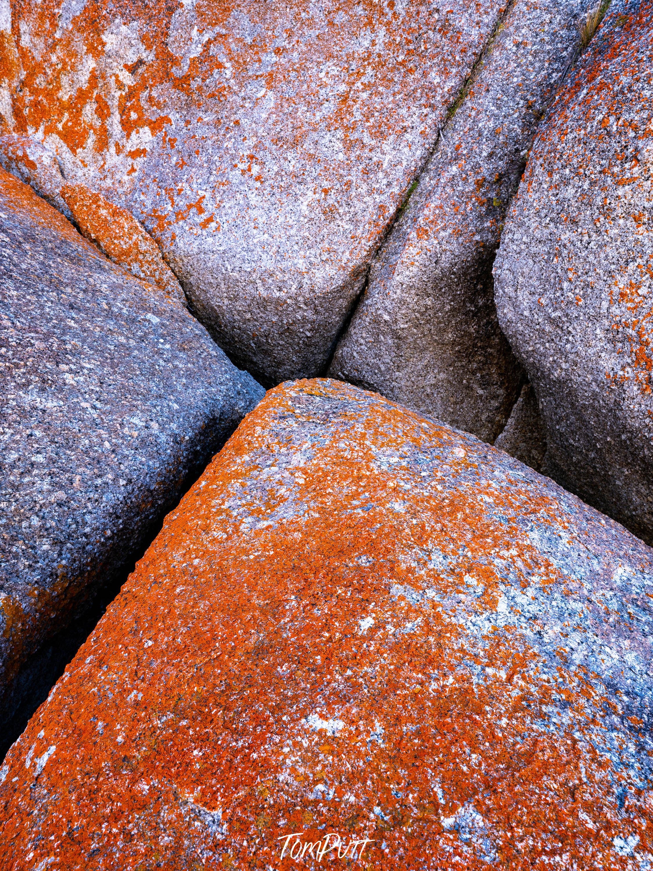 Red Rocks, Flinders Island, Tasmania