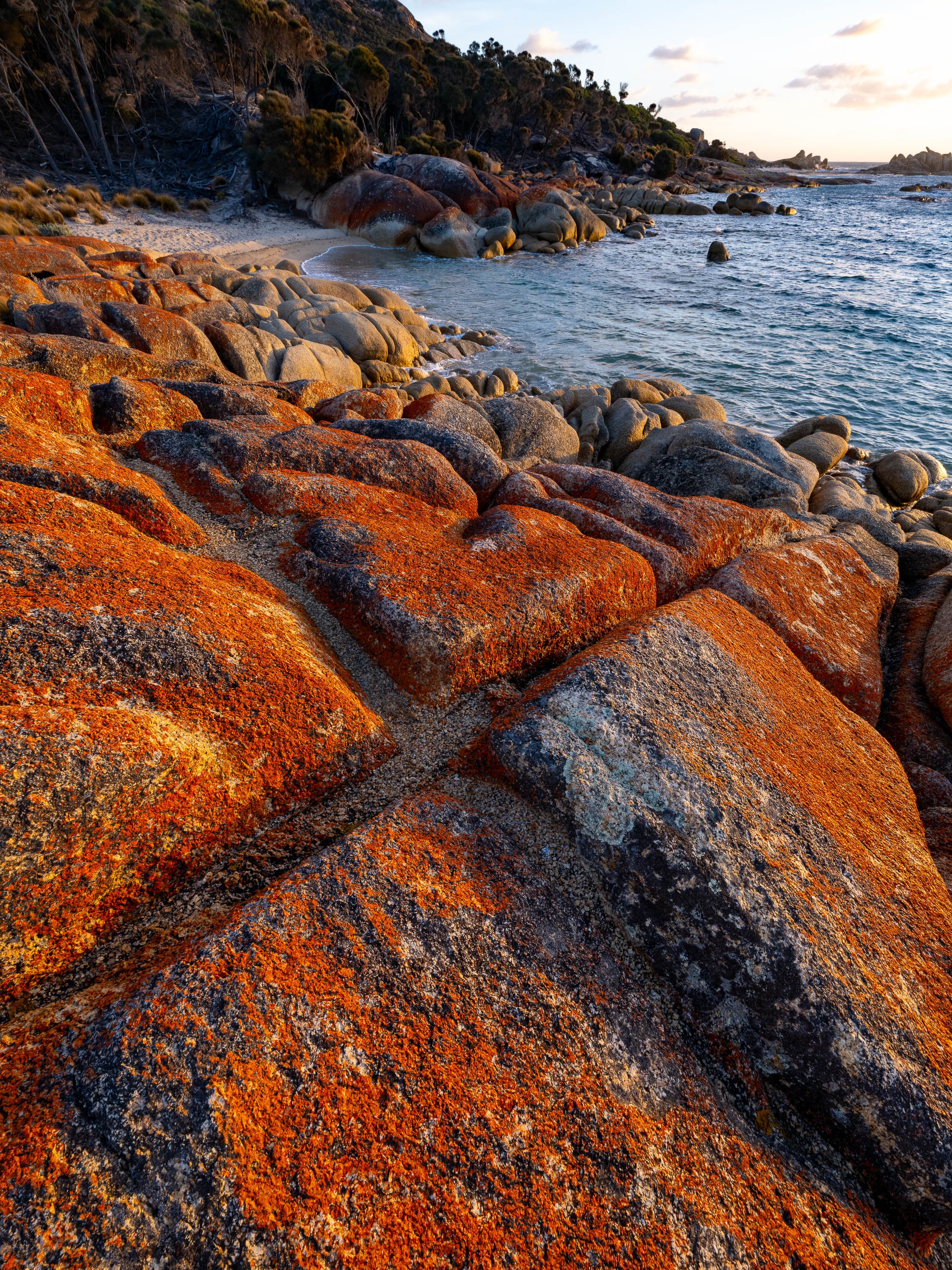 Criss Cross, Flinders Island, Tasmania