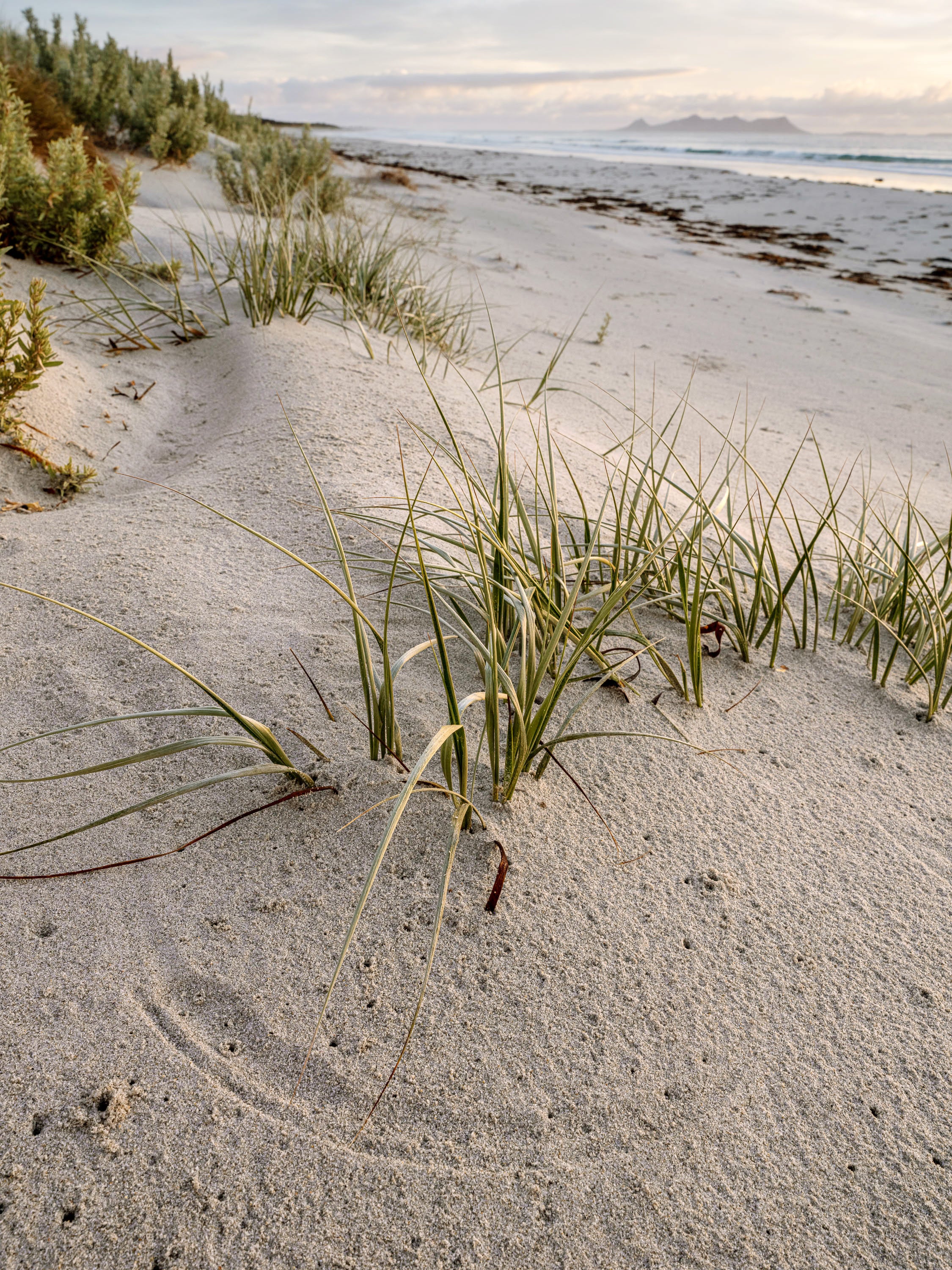 Planter Beach, Flinders Island, Tasmania