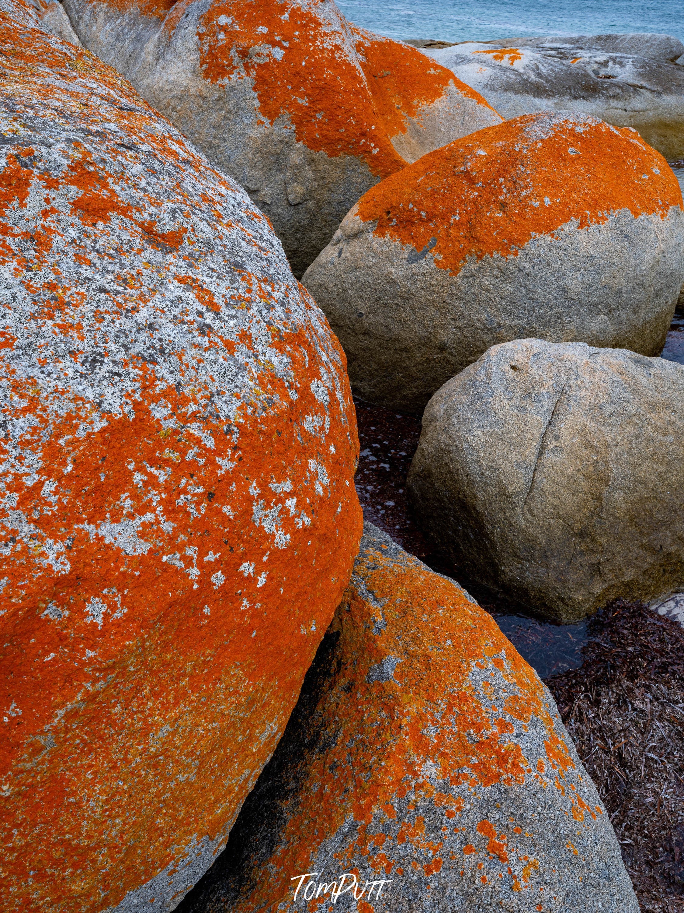 Red Lichen Rocks No.5, Flinders Island, Tasmania