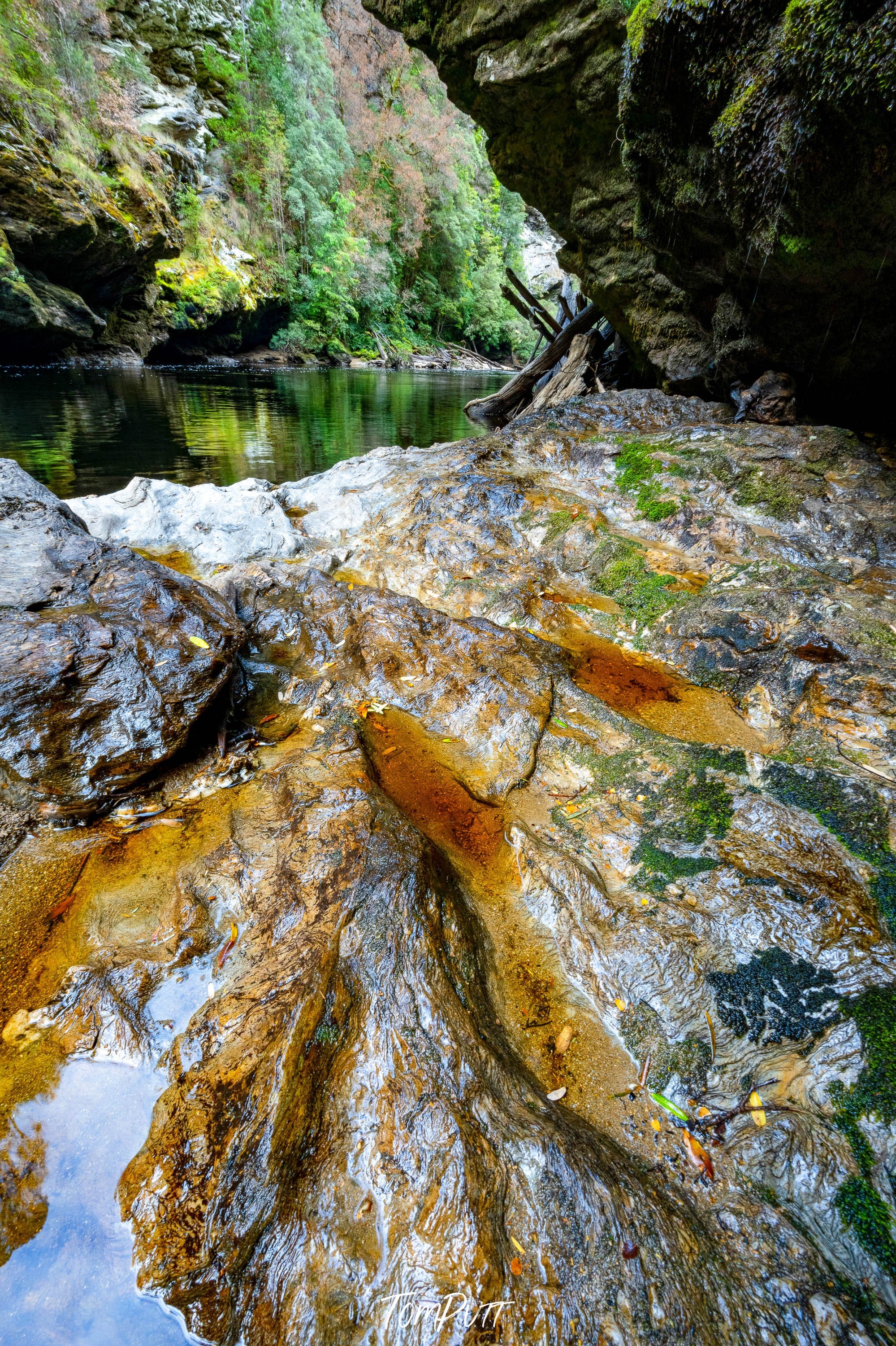 The Upper Franklin River No.2, Tasmania