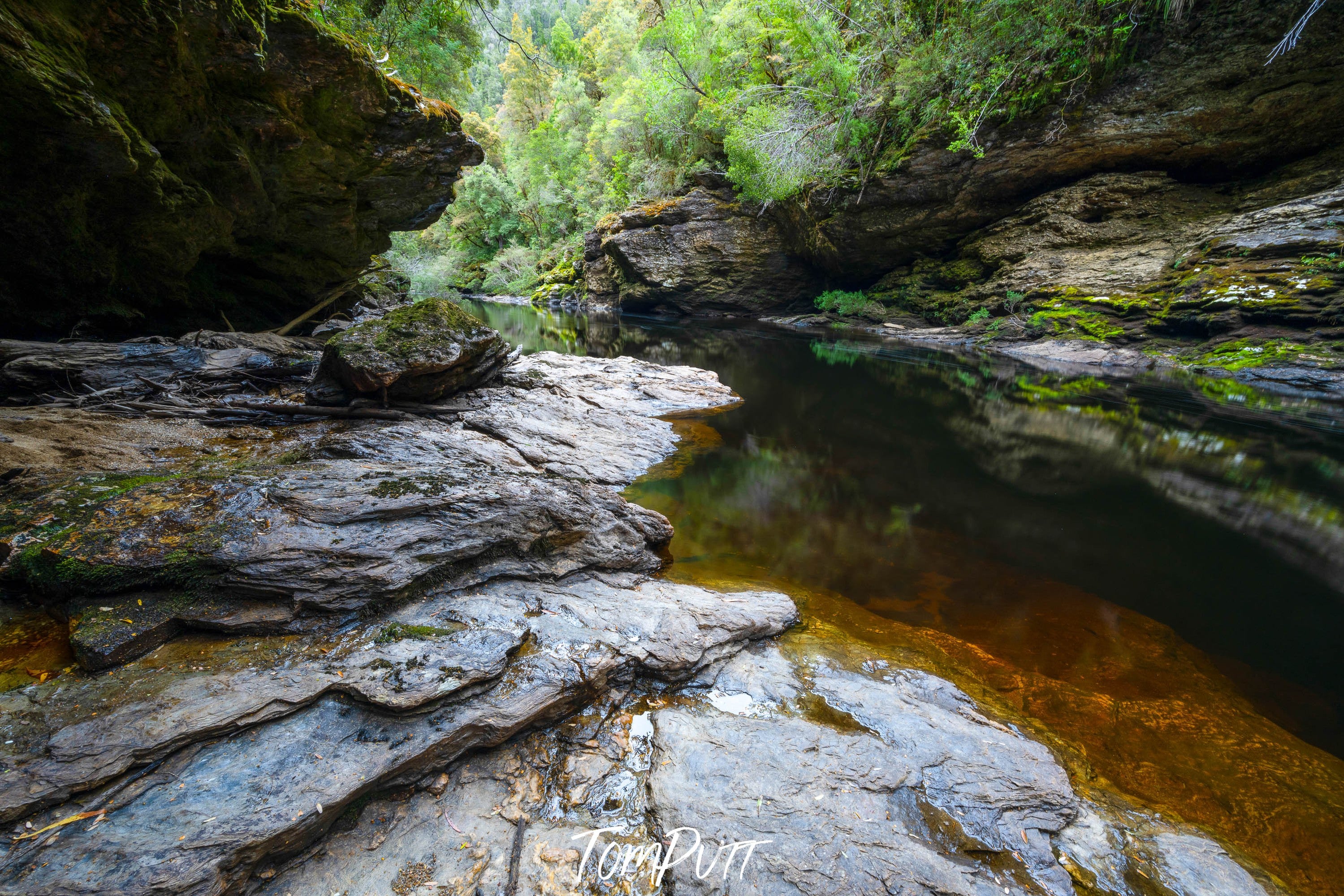 The Upper Franklin River No.3, Tasmania