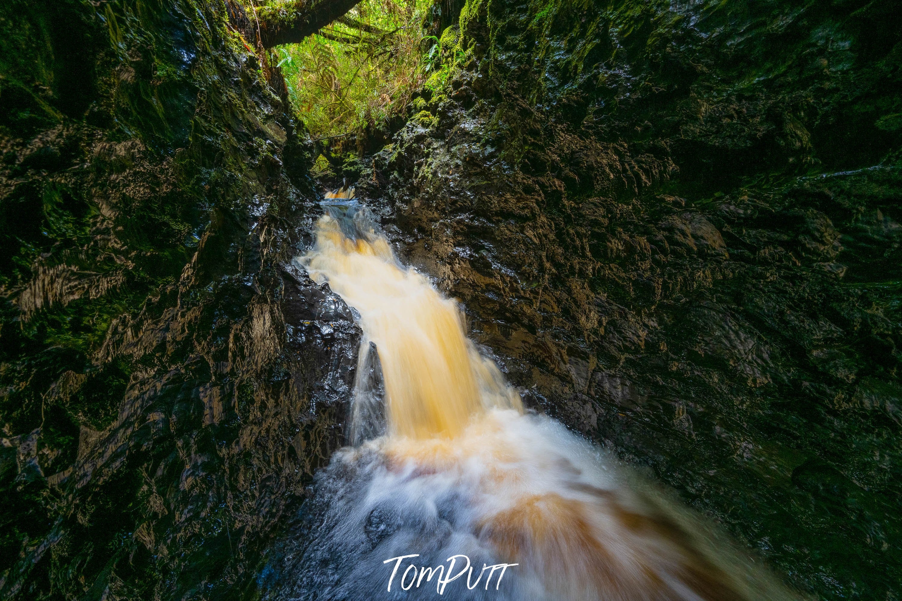 The Lost World, The Franklin River No.9, Tasmania