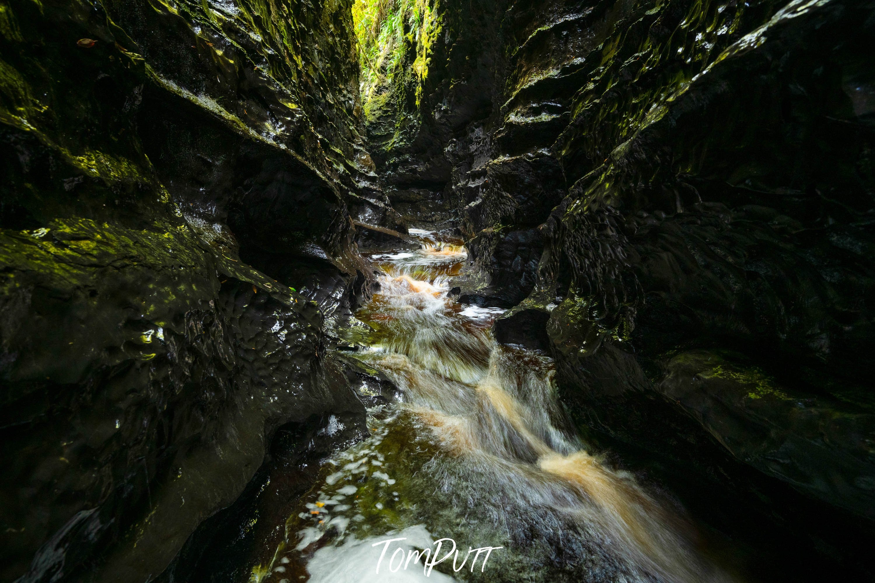 The Lost World, Franklin River No.10, Tasmania