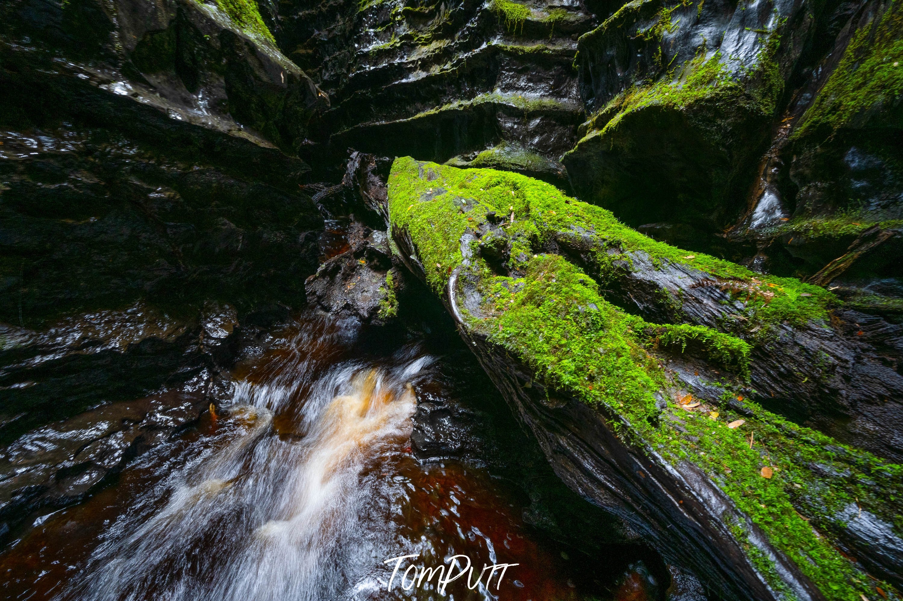 The Lost World, Franklin River No.11, Tasmania