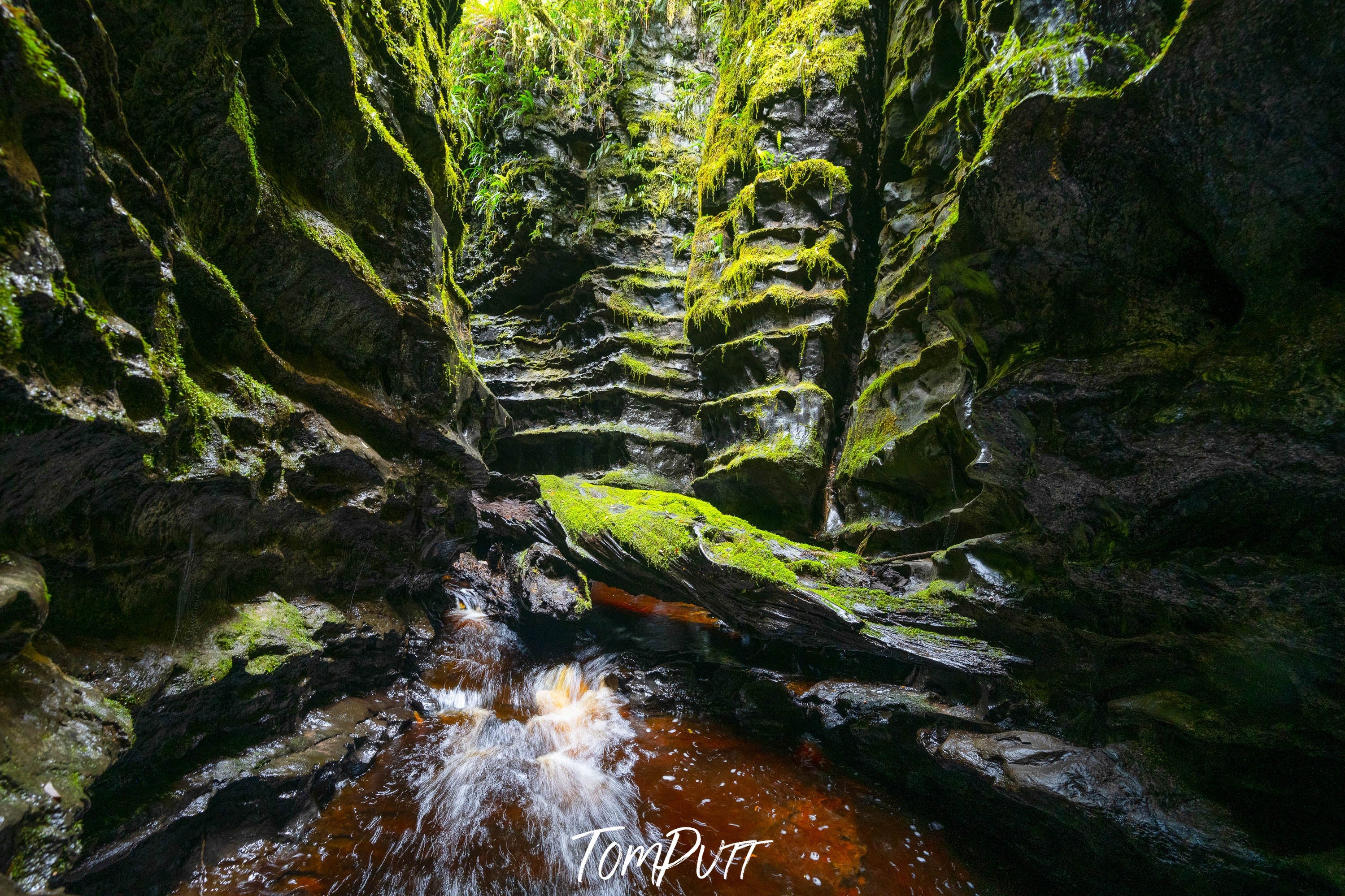 The Lost World, Franklin River No.12, Tasmania