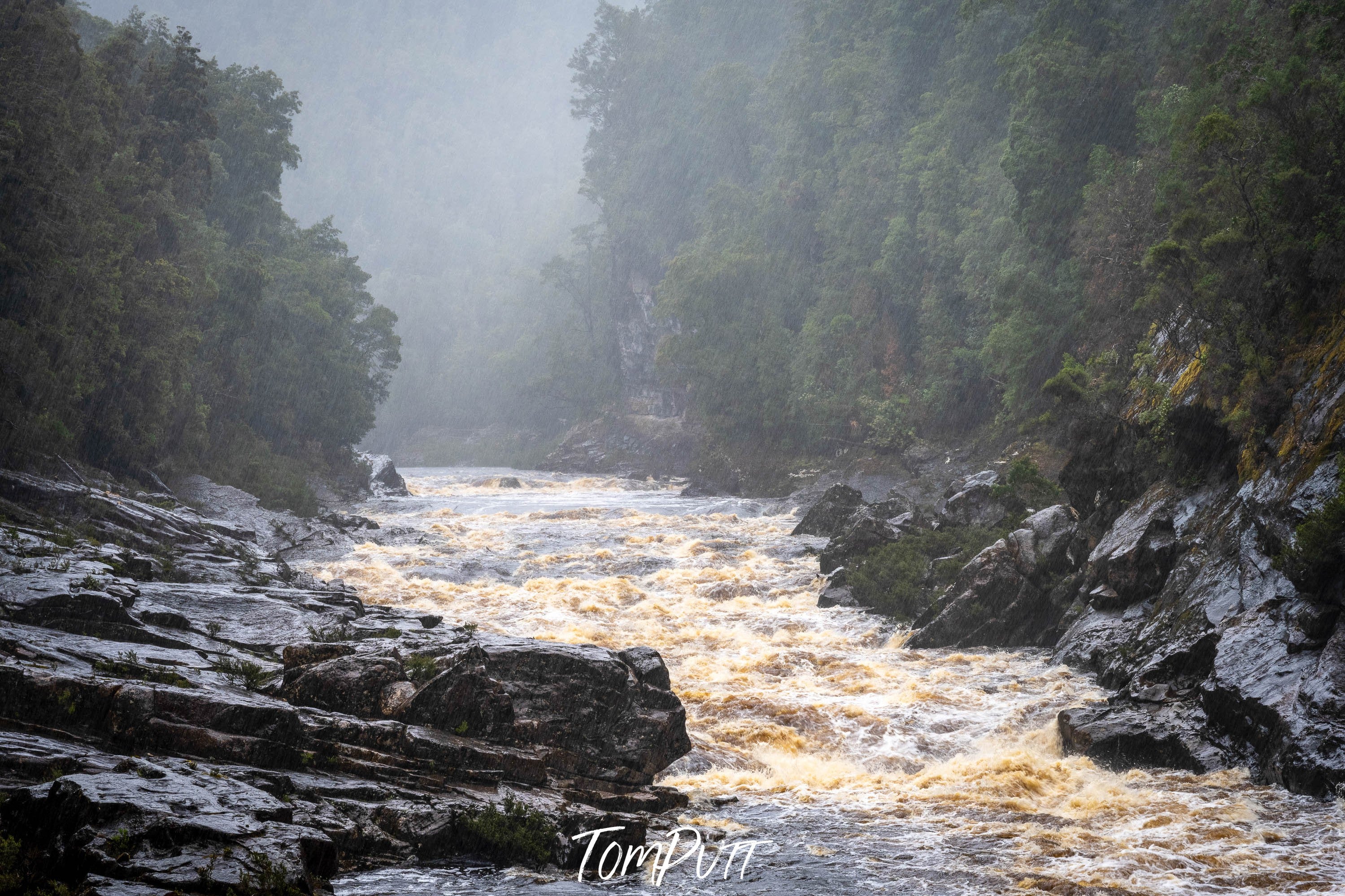 The Franklin River in flood, Tasmania