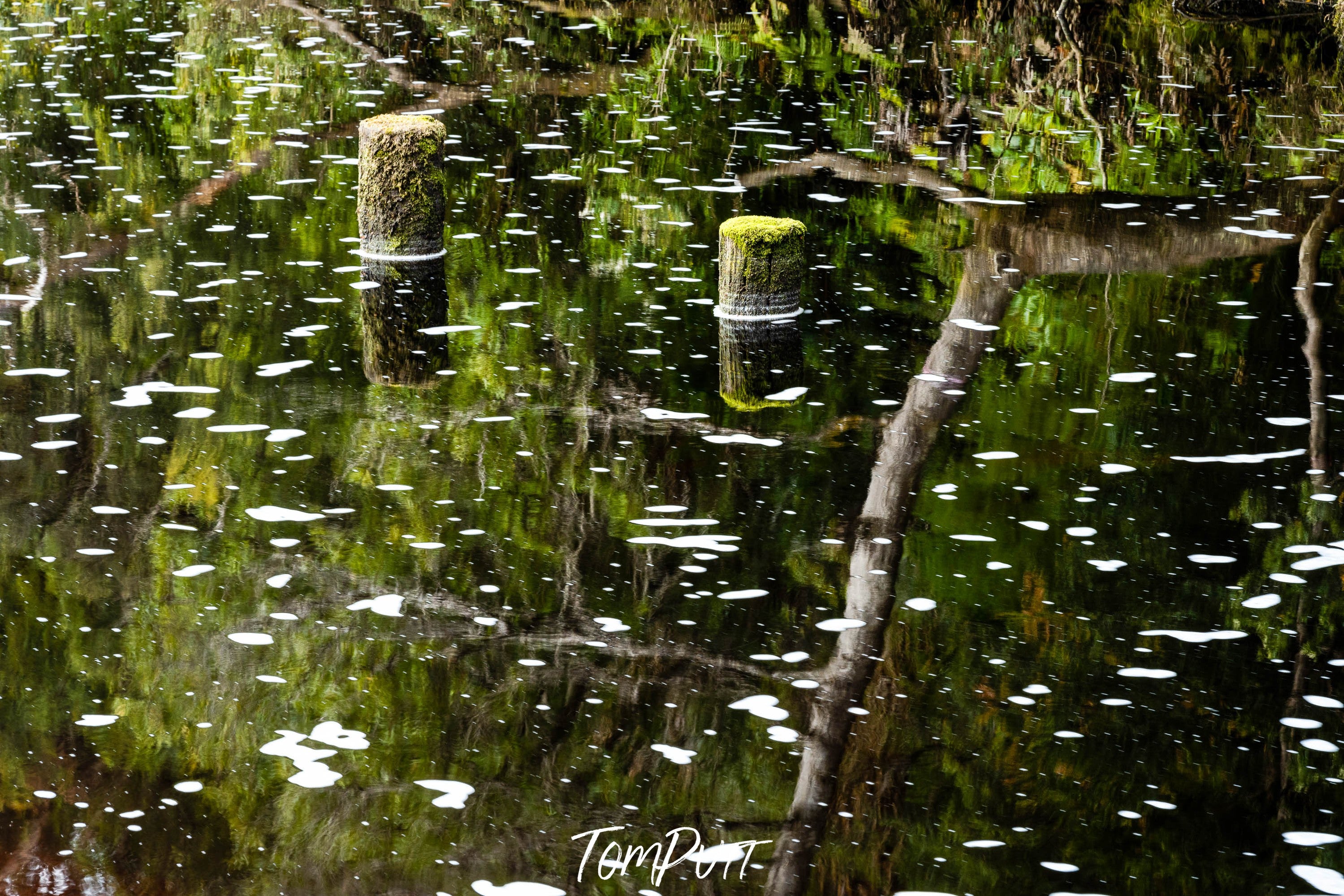 The Franklin River at Sir Jon Falls Landing, Tasmania