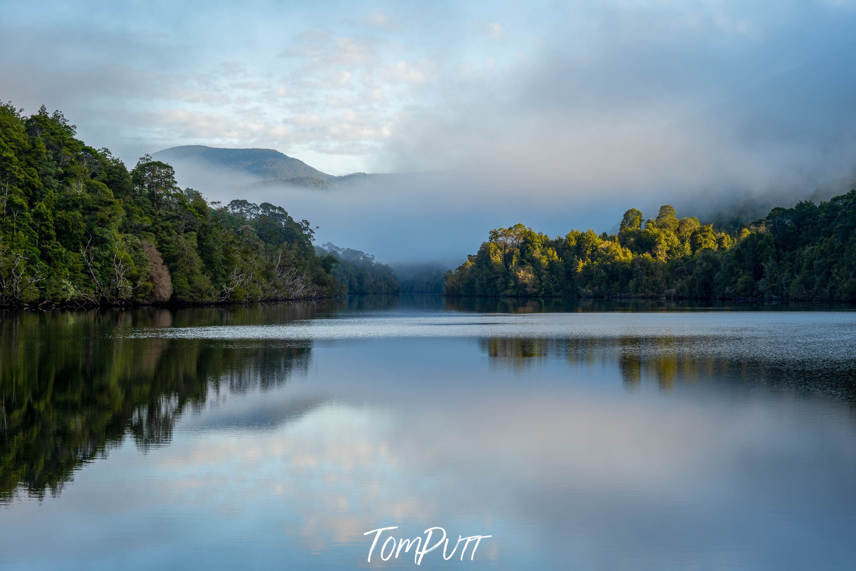 Shrouded Beauty, Gordon River, Tasmania