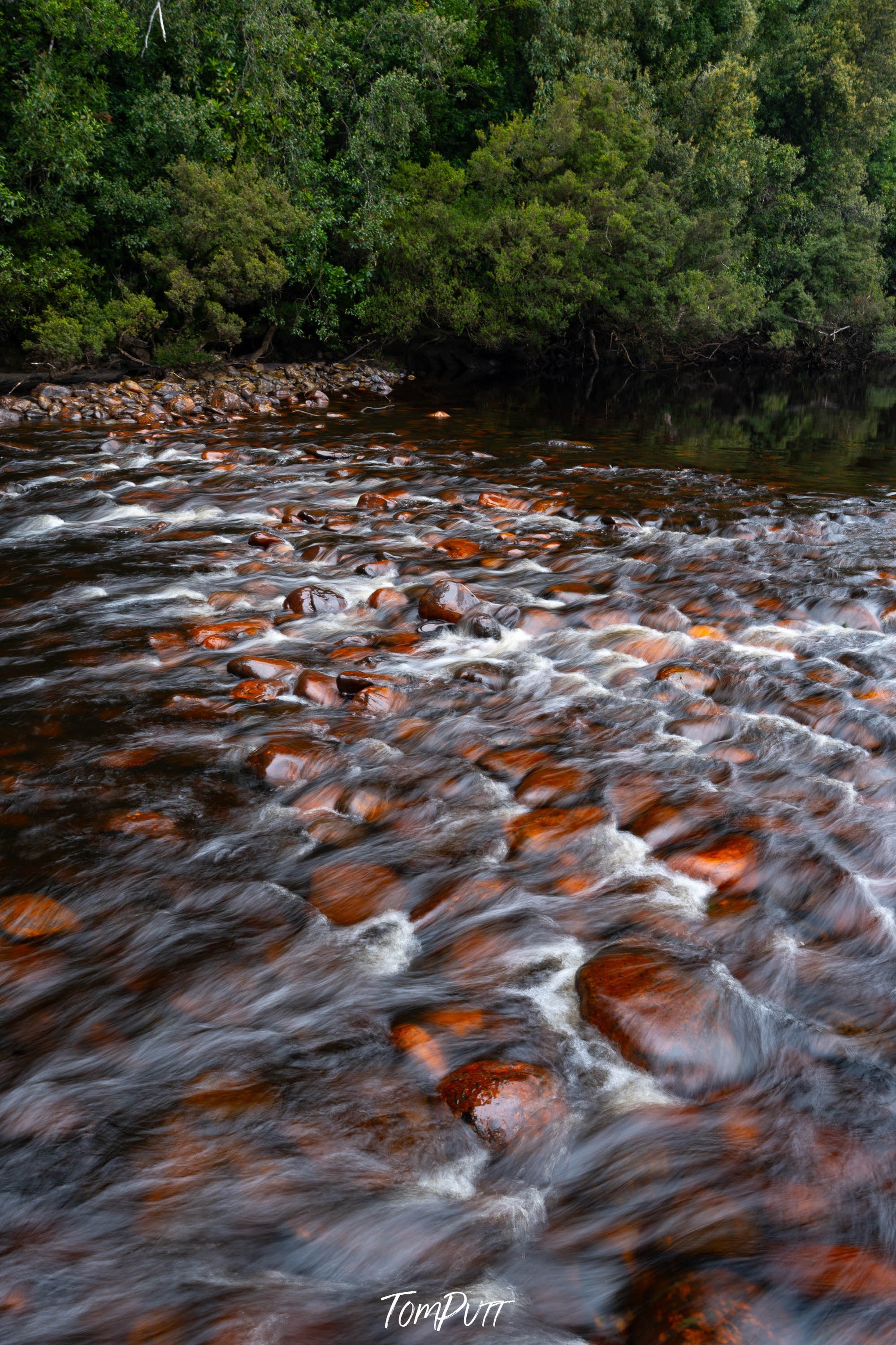 The Lower Franklin River, Tasmania