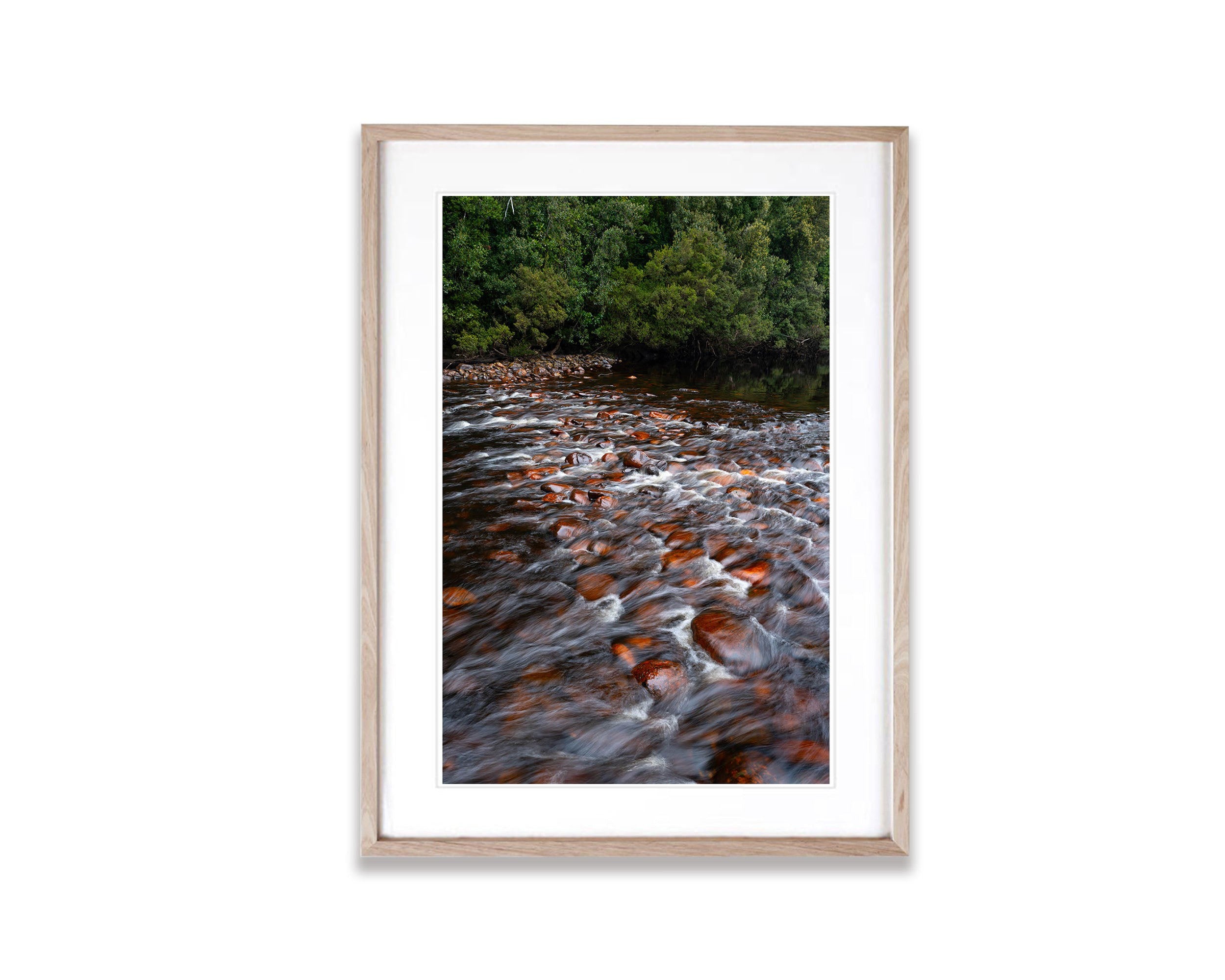 The Lower Franklin River, Tasmania