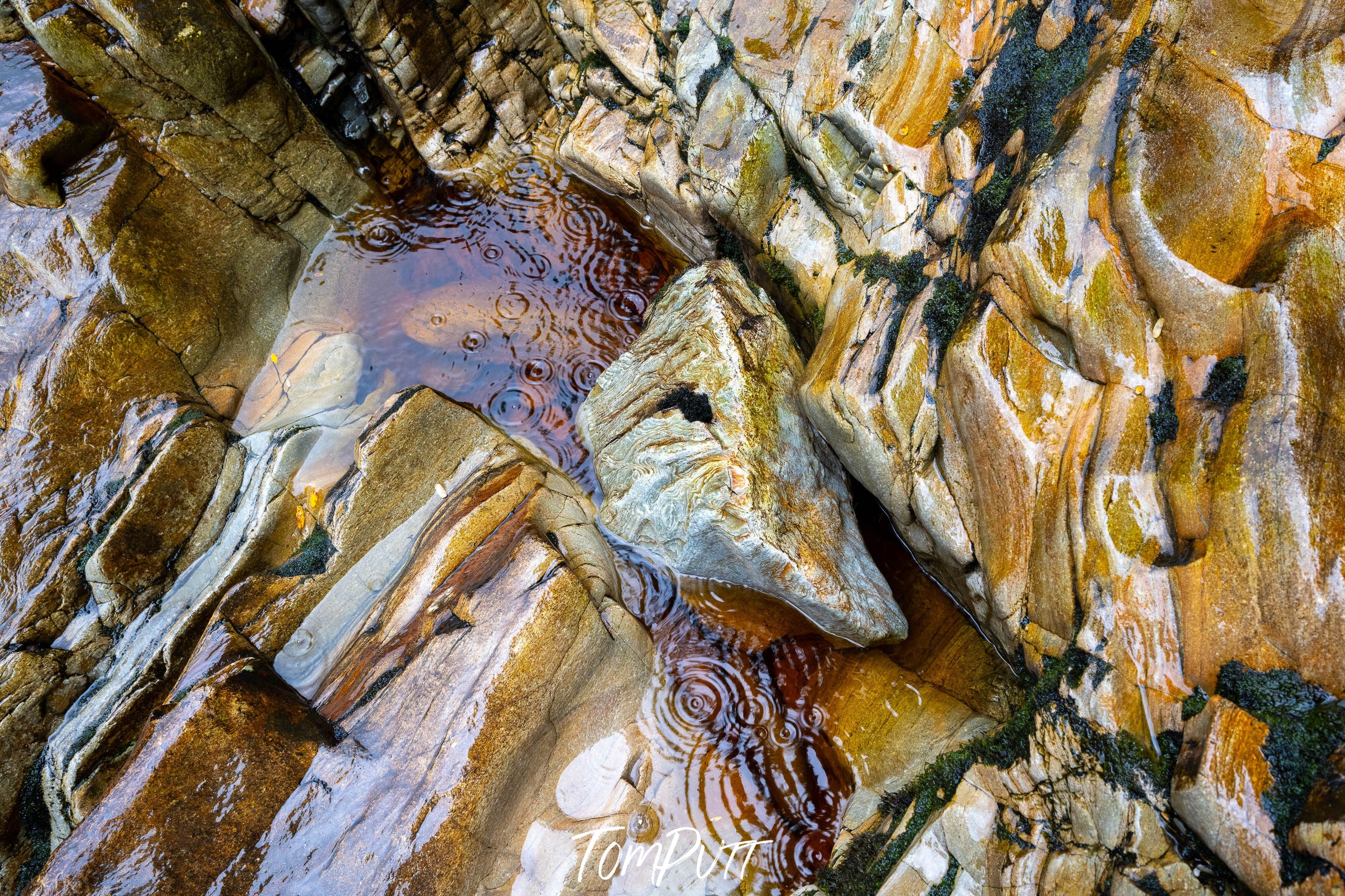 Raindrops, Franklin River, Tasmania