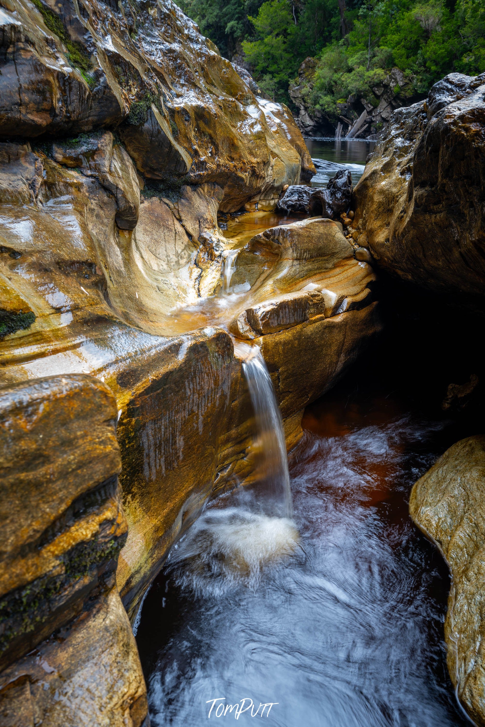 Vertical Cascade, Franklin River, Tasmania