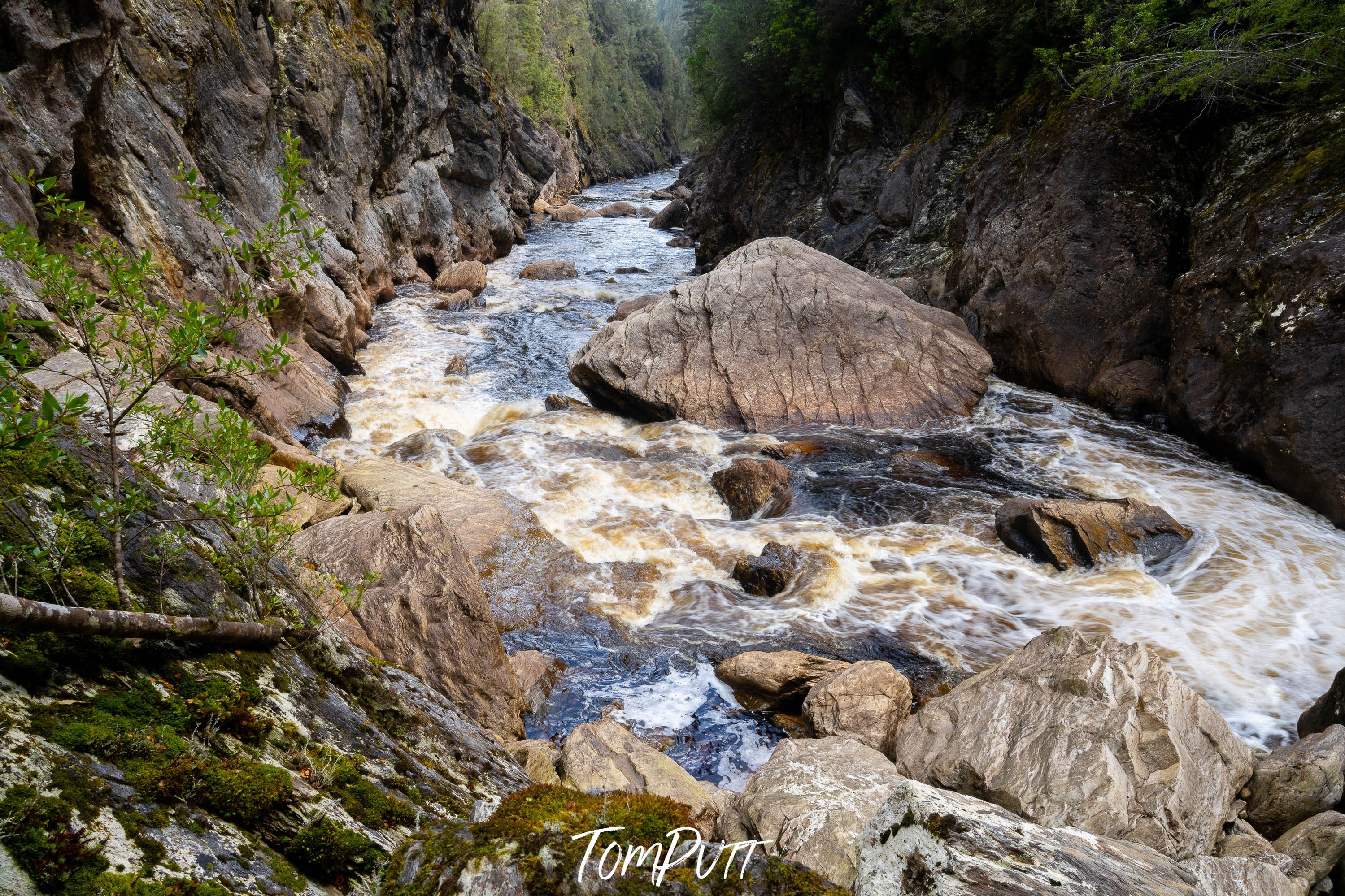 The Great Ravine, The Franklin River, Tasmania