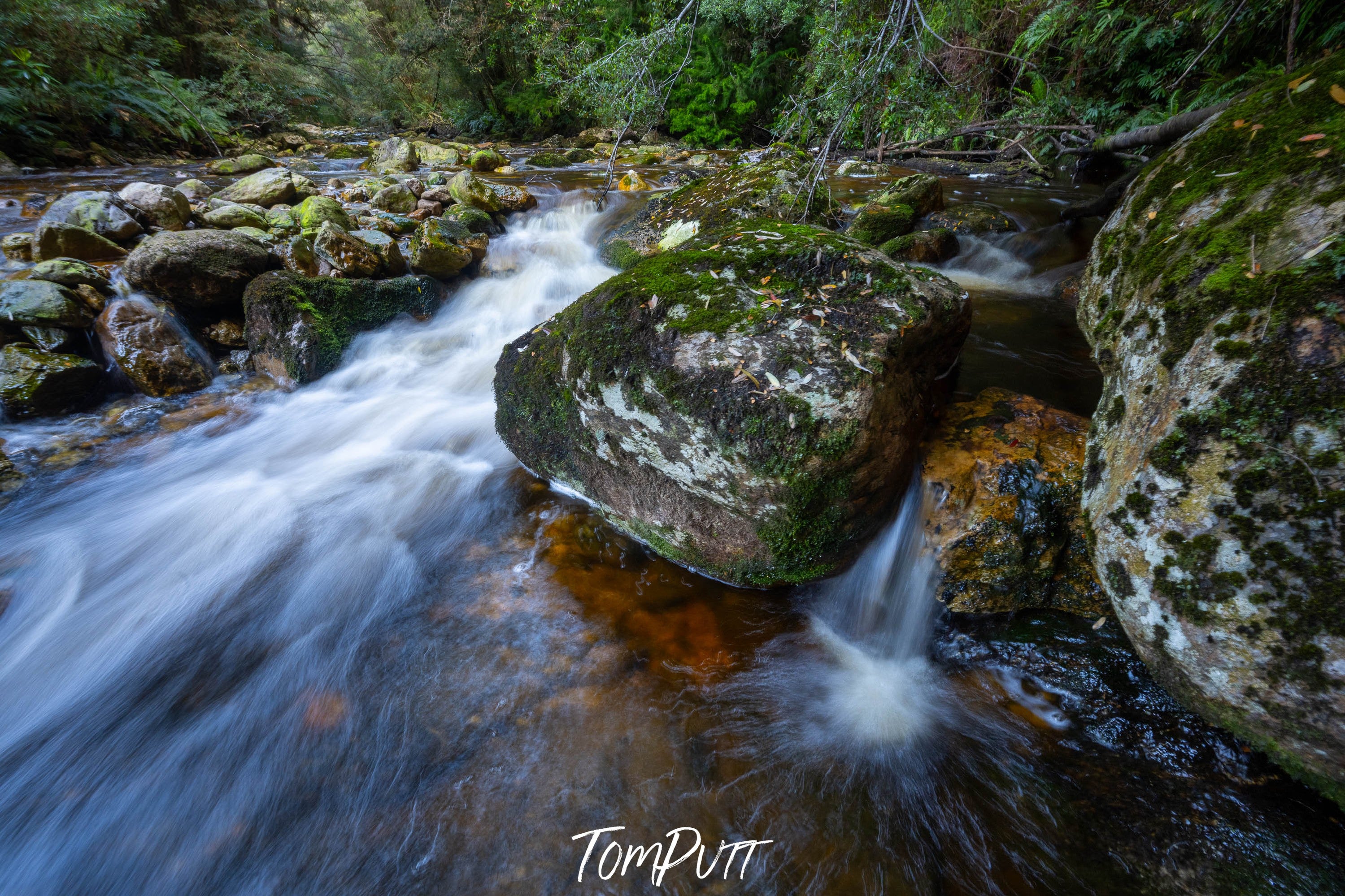 Interlude Creek No.3, The Franklin River, Tasmania