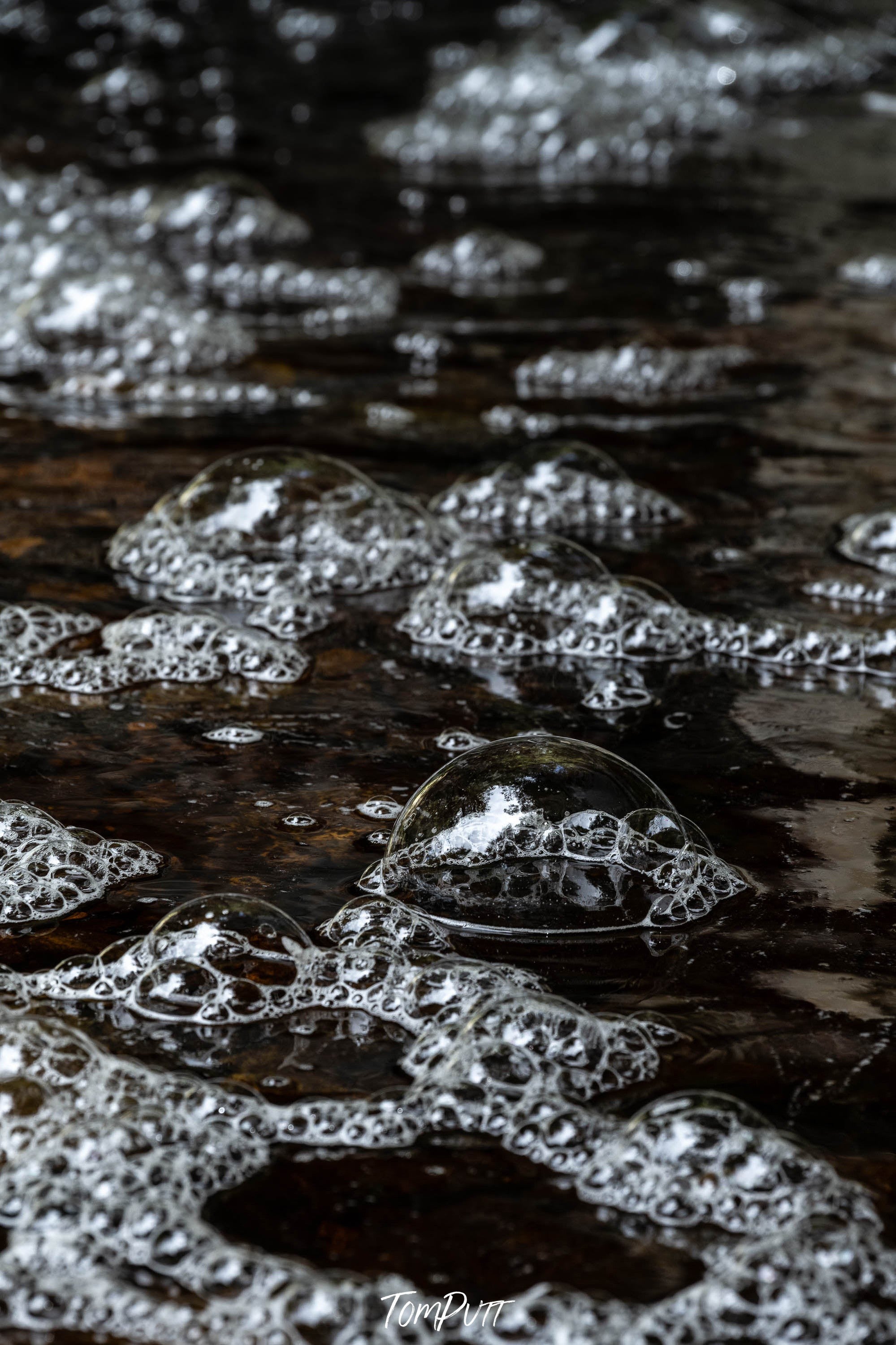 Bubbles, The Franklin River, Tasmania