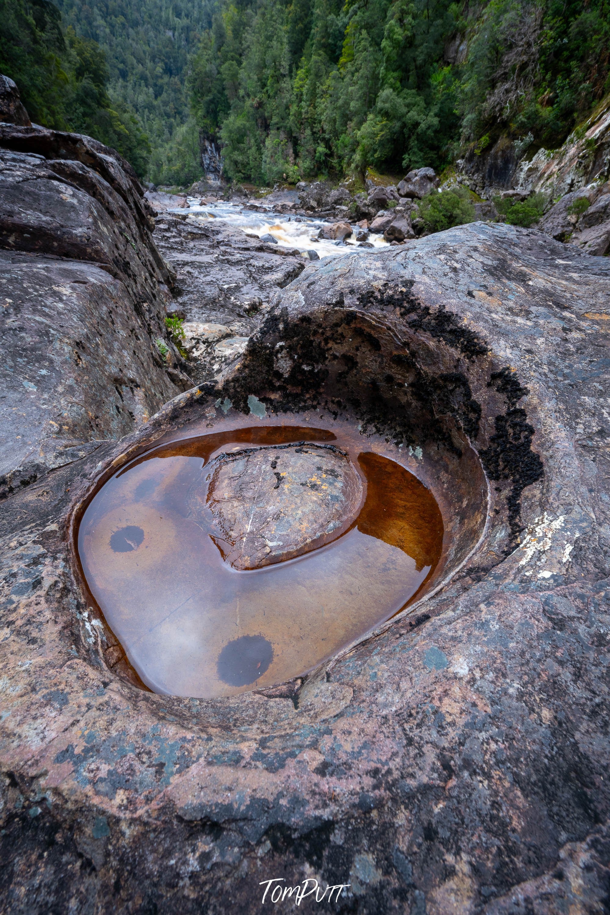 Rock Pool, The Franklin River, Tasmania