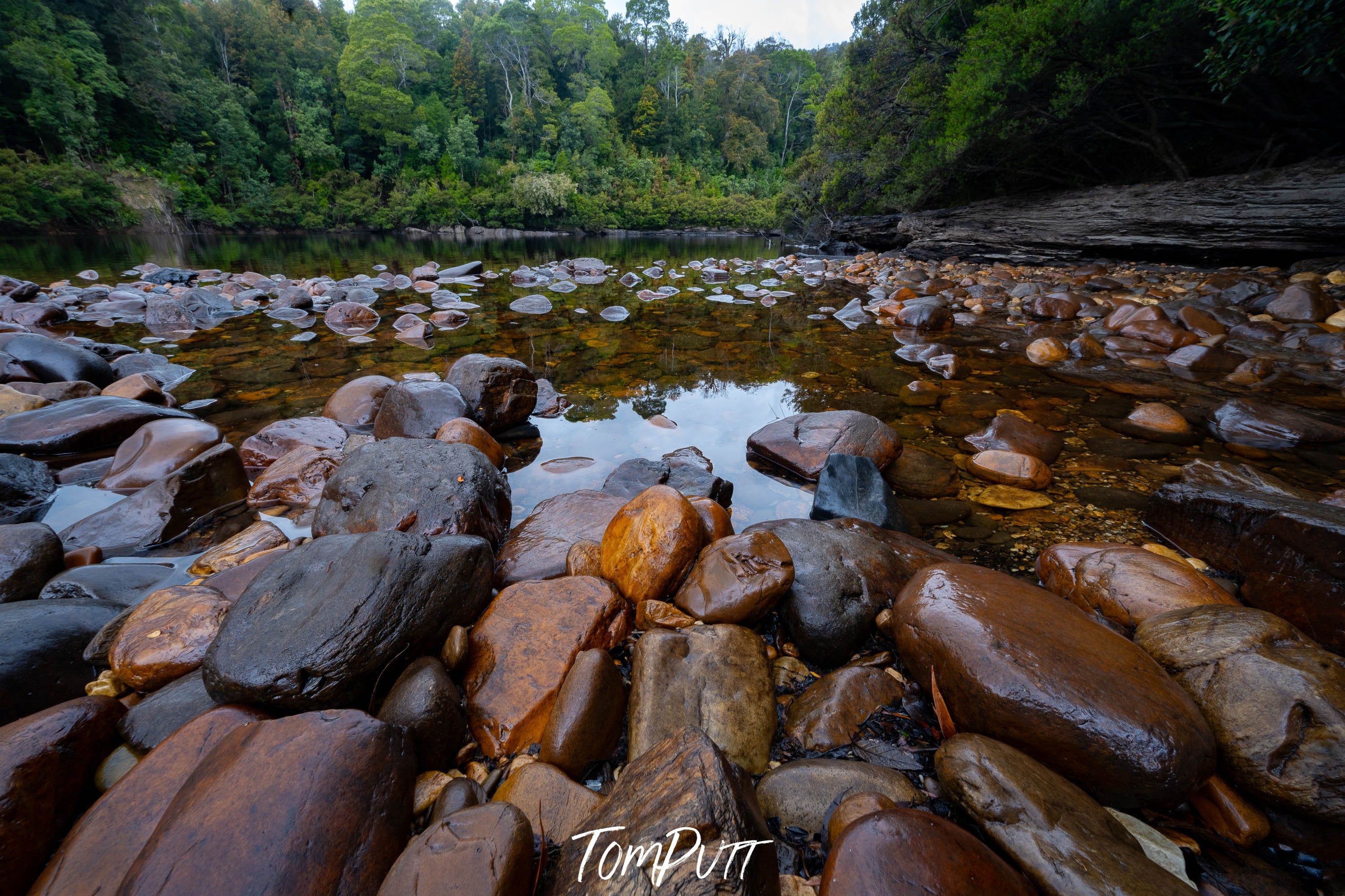 The Lower Franklin River, Tasmania