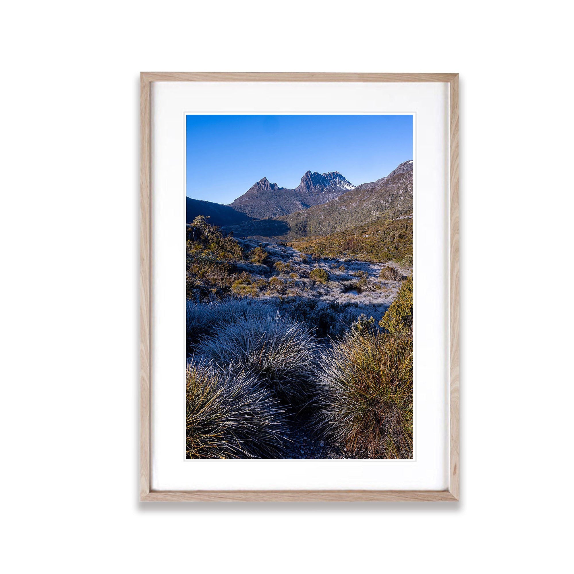 Frosty Morning, Cradle Mountain, Tasmania