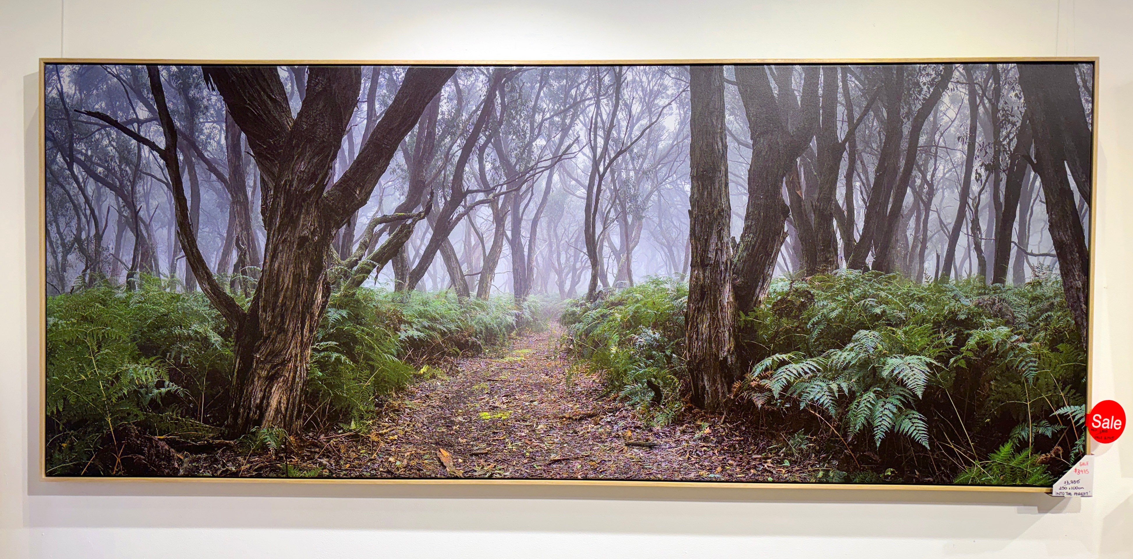 ARTWORK INSTOCK - 'Into the Forest' - 250x100cms Canvas Framed Print Raw Oak