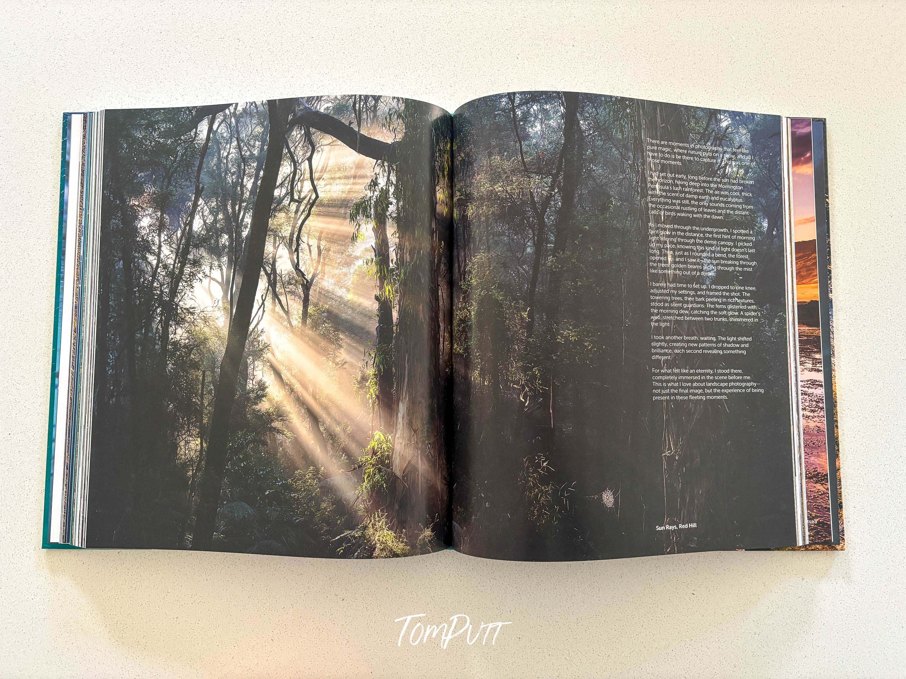 ** PRE-ORDER ** Mornington Peninsula Coastal Edition