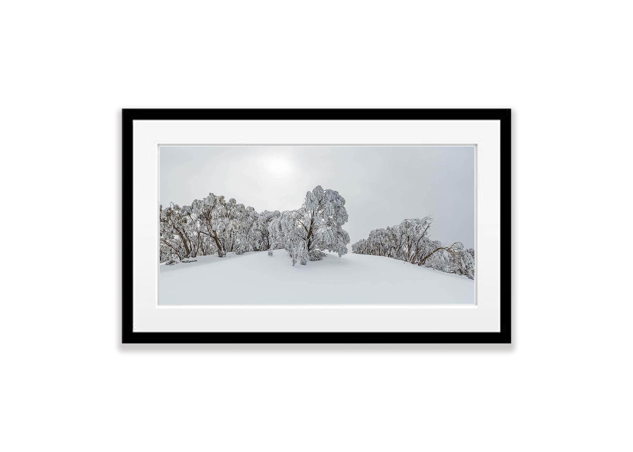 ARTWORK INSTOCK - Ice Tree, Mount Baw Baw - Victorian High Country - 150 x 50cms Canvas Raw Oak Print