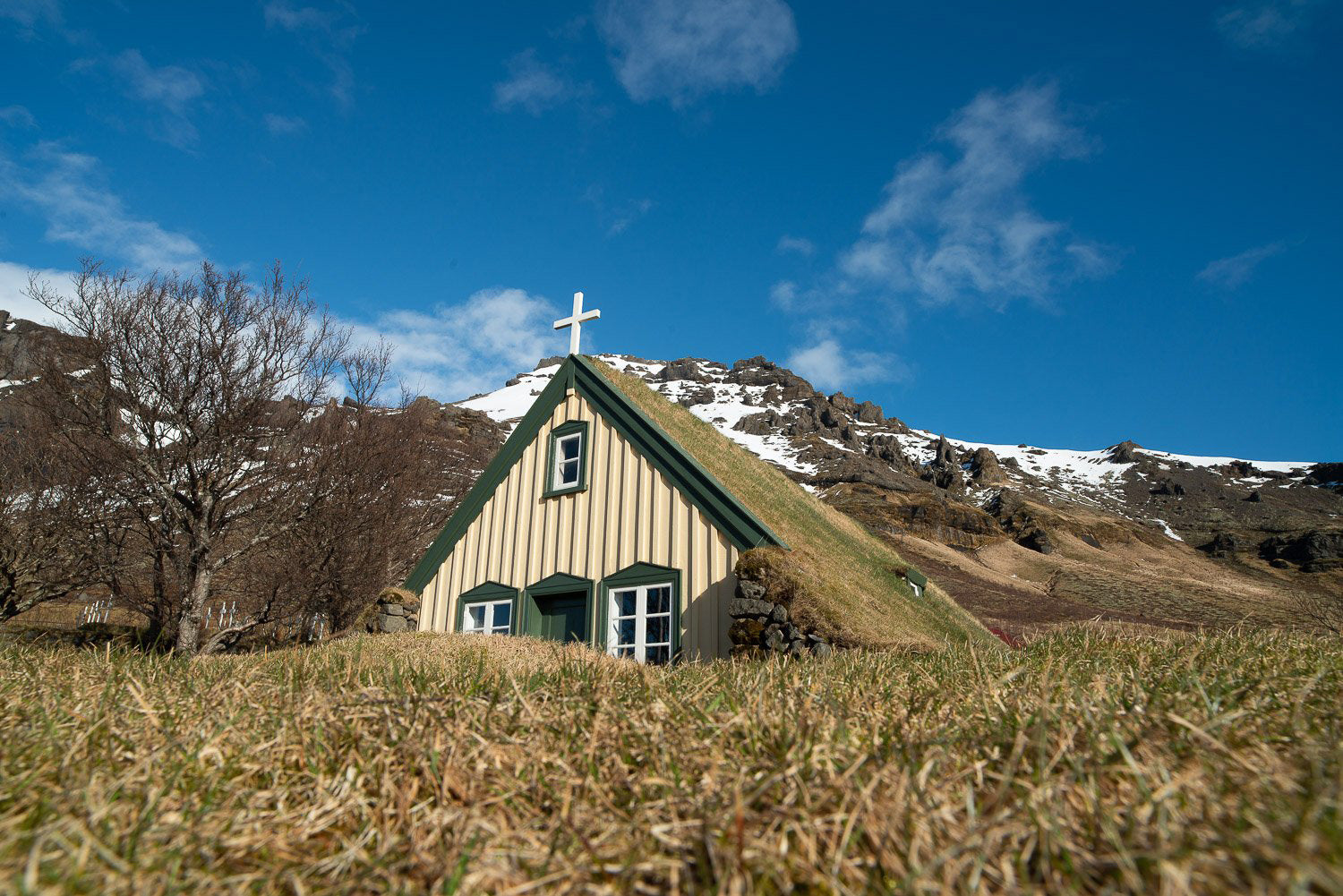 Green-topped roof, Iceland